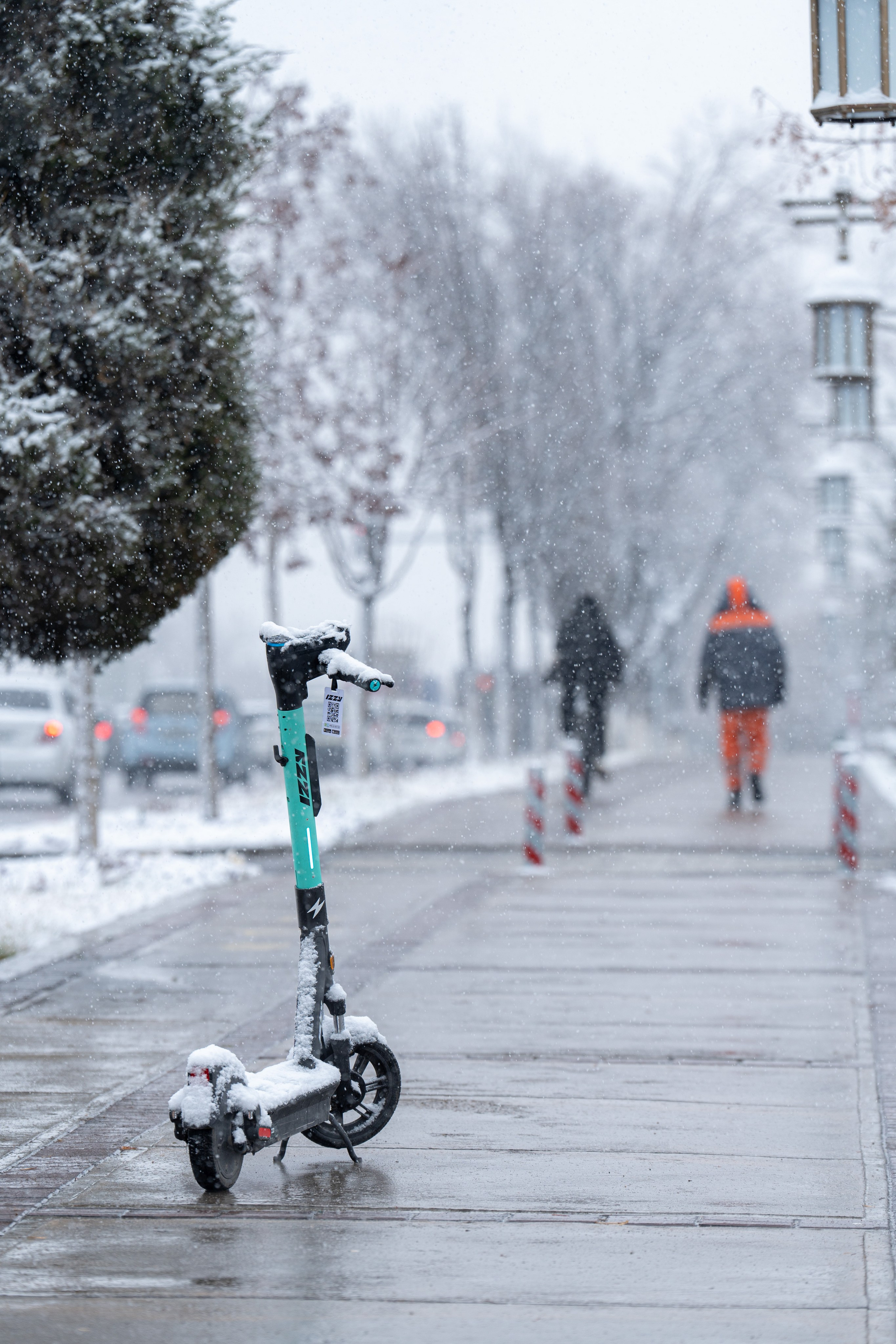 Первый снег в 2024 году. Георгий Намазов | Фотограф в Ташкенте