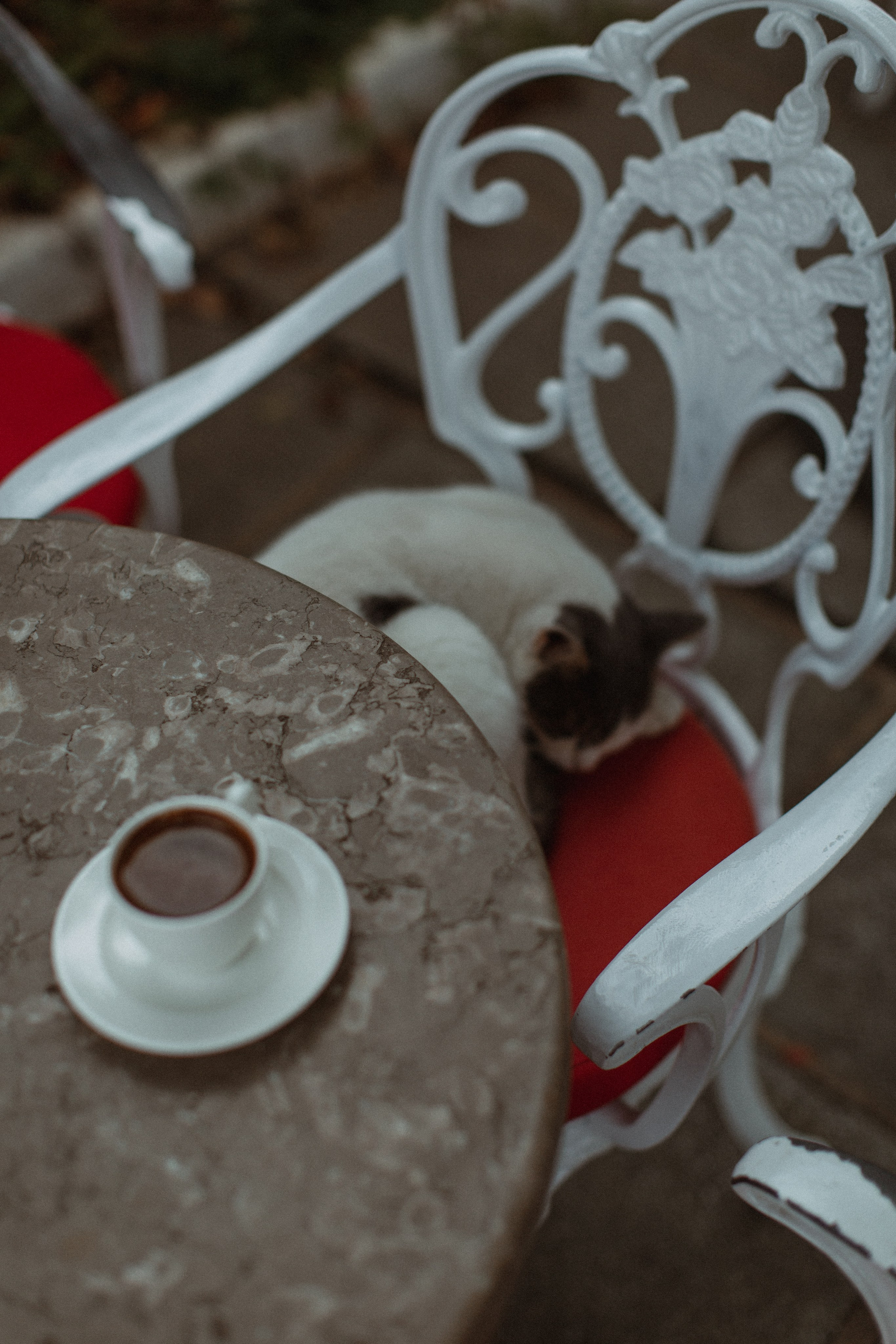 Татьяна. Отпуск на Принцевых островах. True self