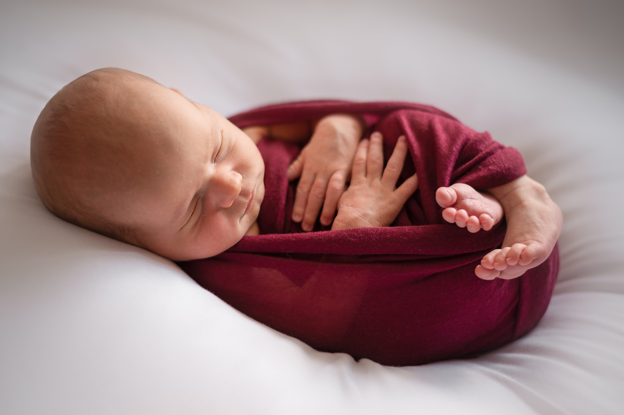 Neugeborene. Lena Horch