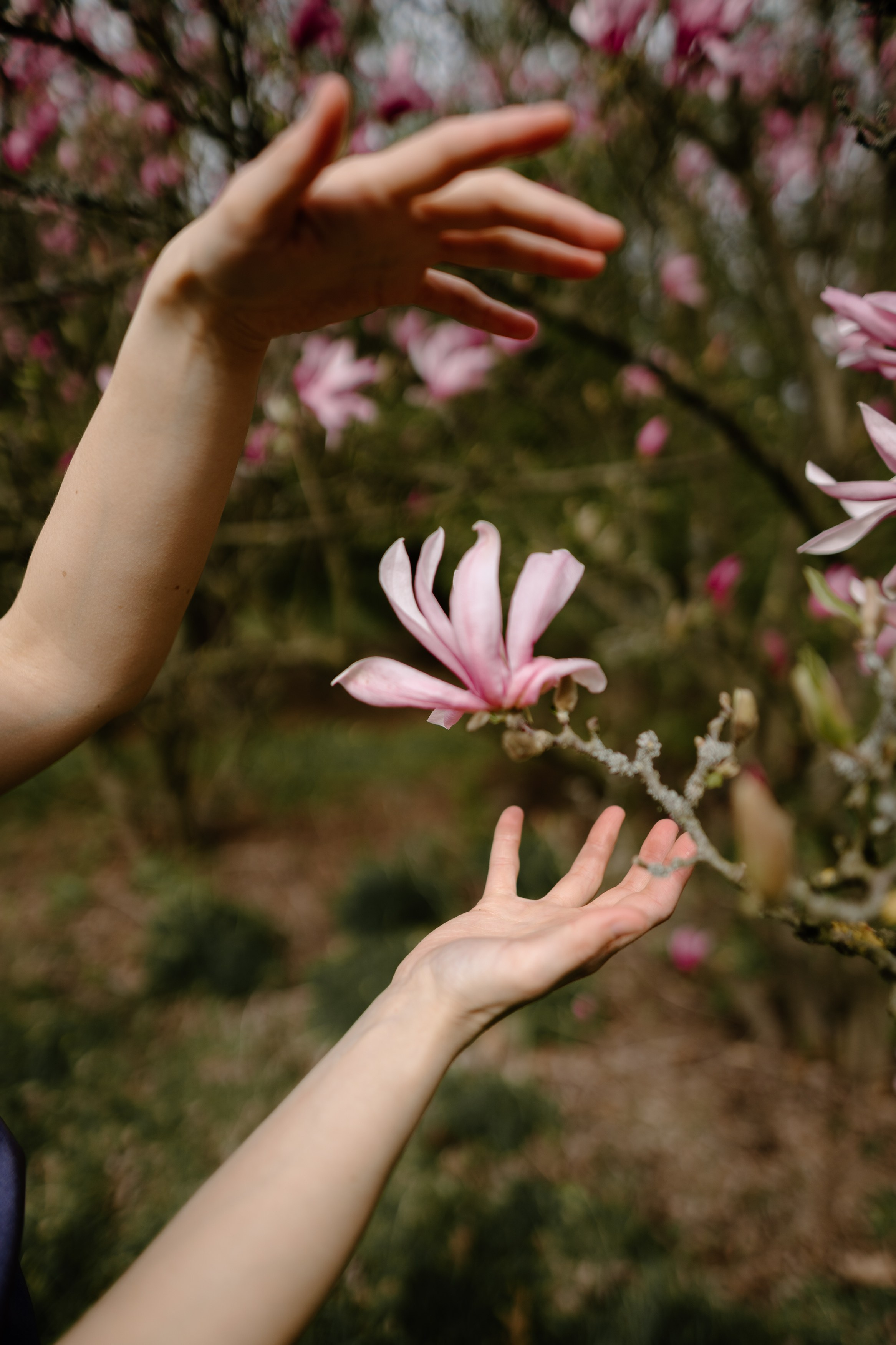 Nature. Фотограф в Праге Анна Лебедева