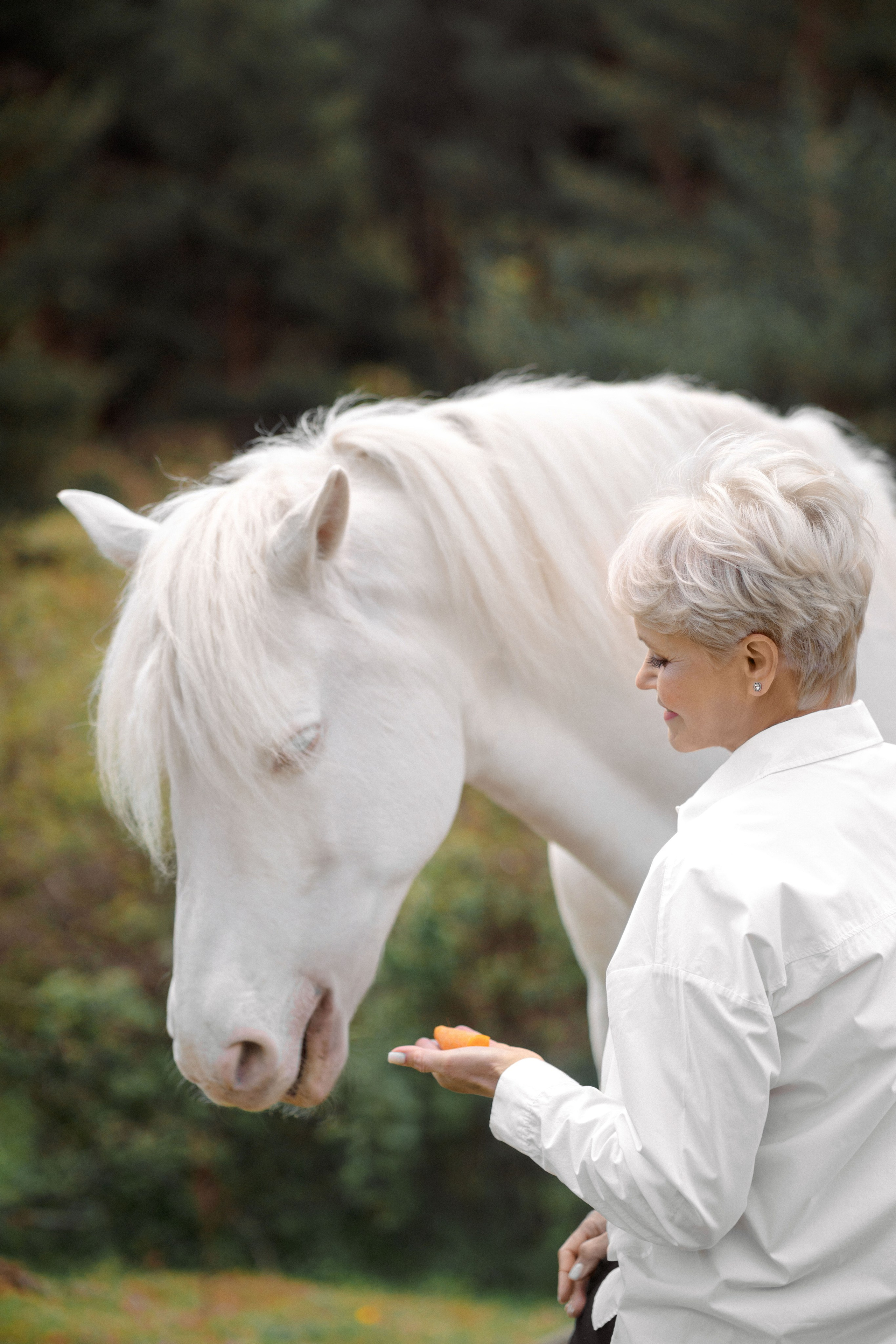 Конная фотосессия. Женские портреты в Мадриде — естественная красота и свет | Anna Maruleva