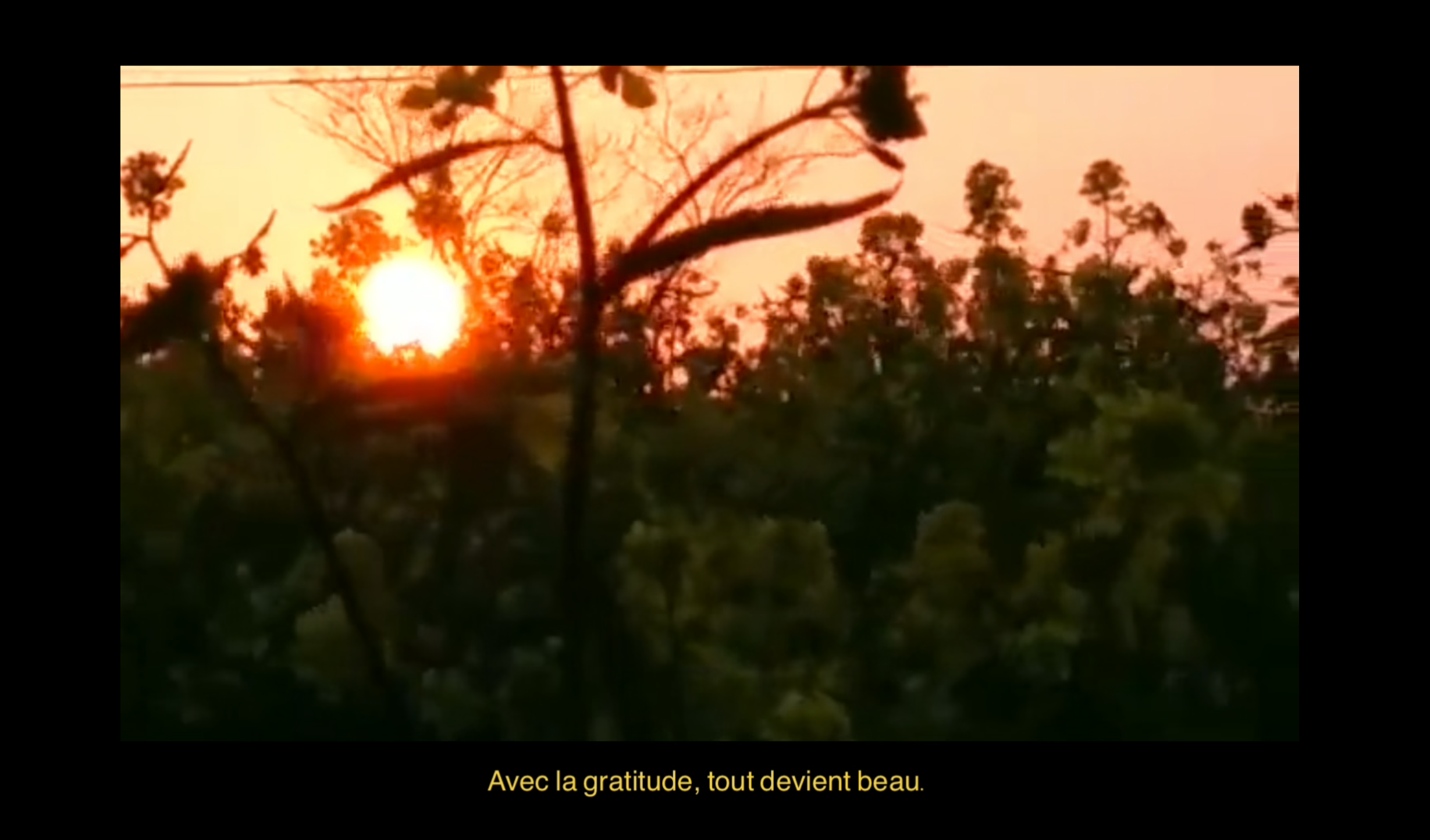 Vidéo 00:06:07 [Image: 00:04:55]