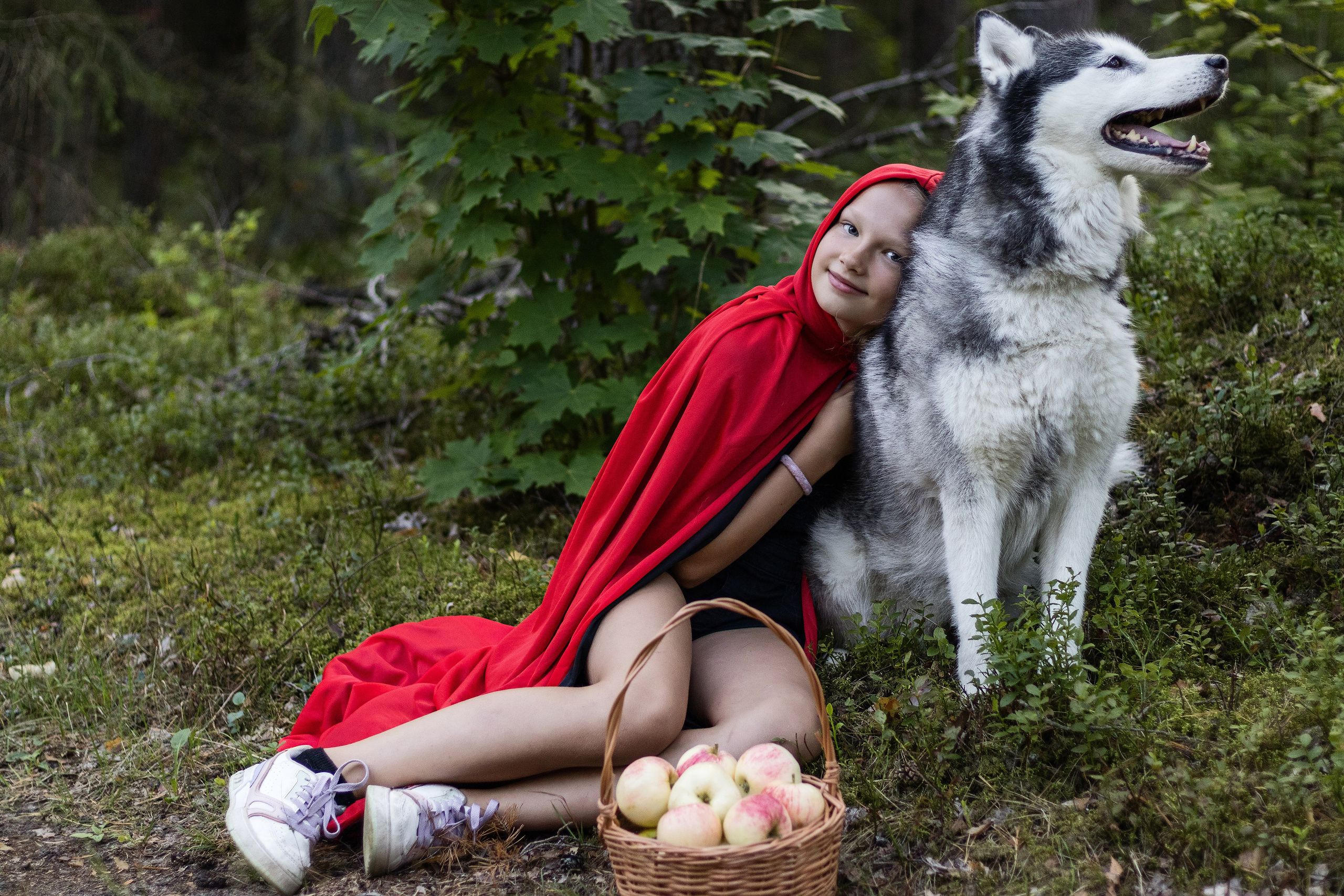 Фотосессия красная шапочка. Фотограф / Даугавпилс