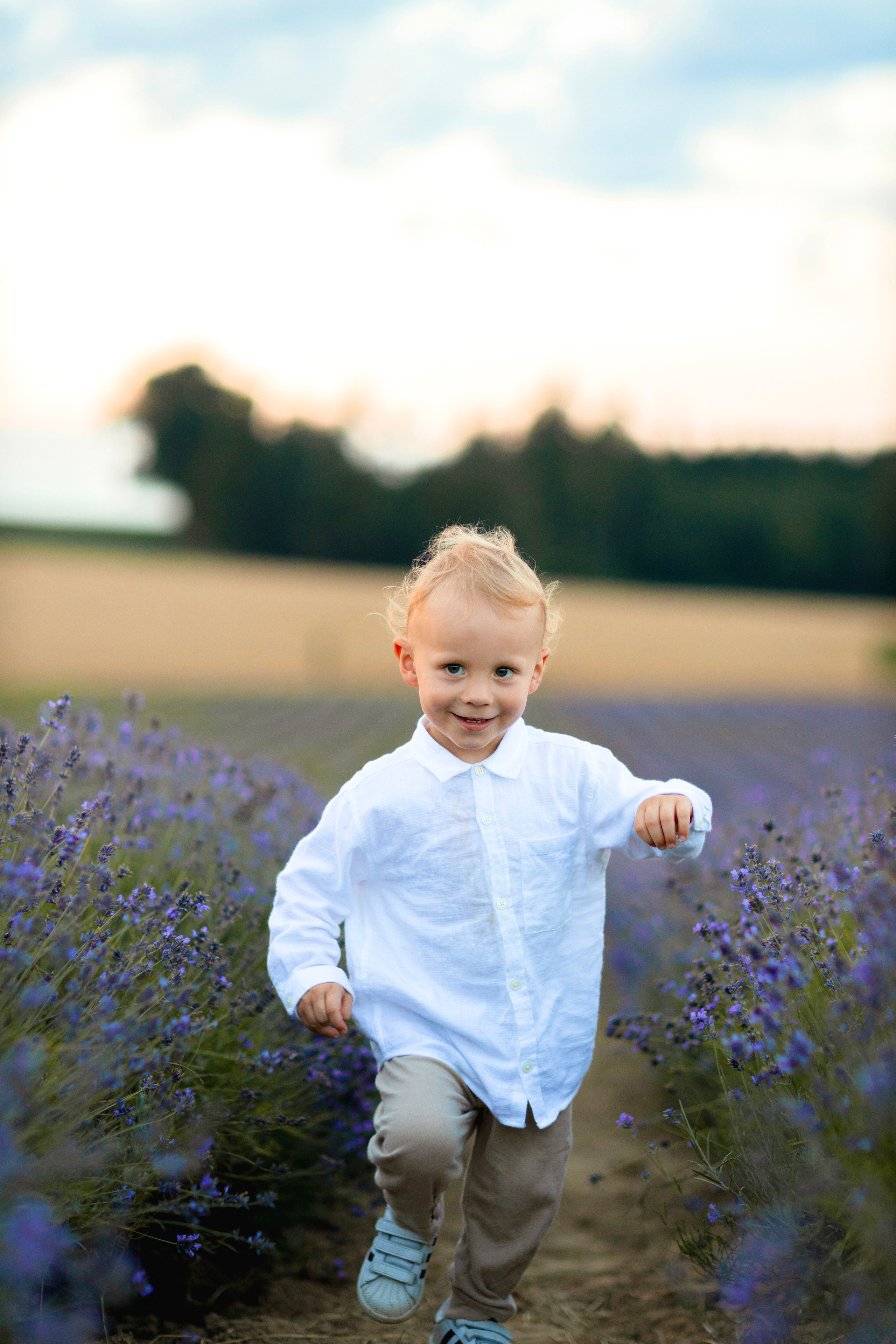 Picknick im Sommer. Hochzeitsfotograf München Taufe Familienfotograf Tanja Mauke