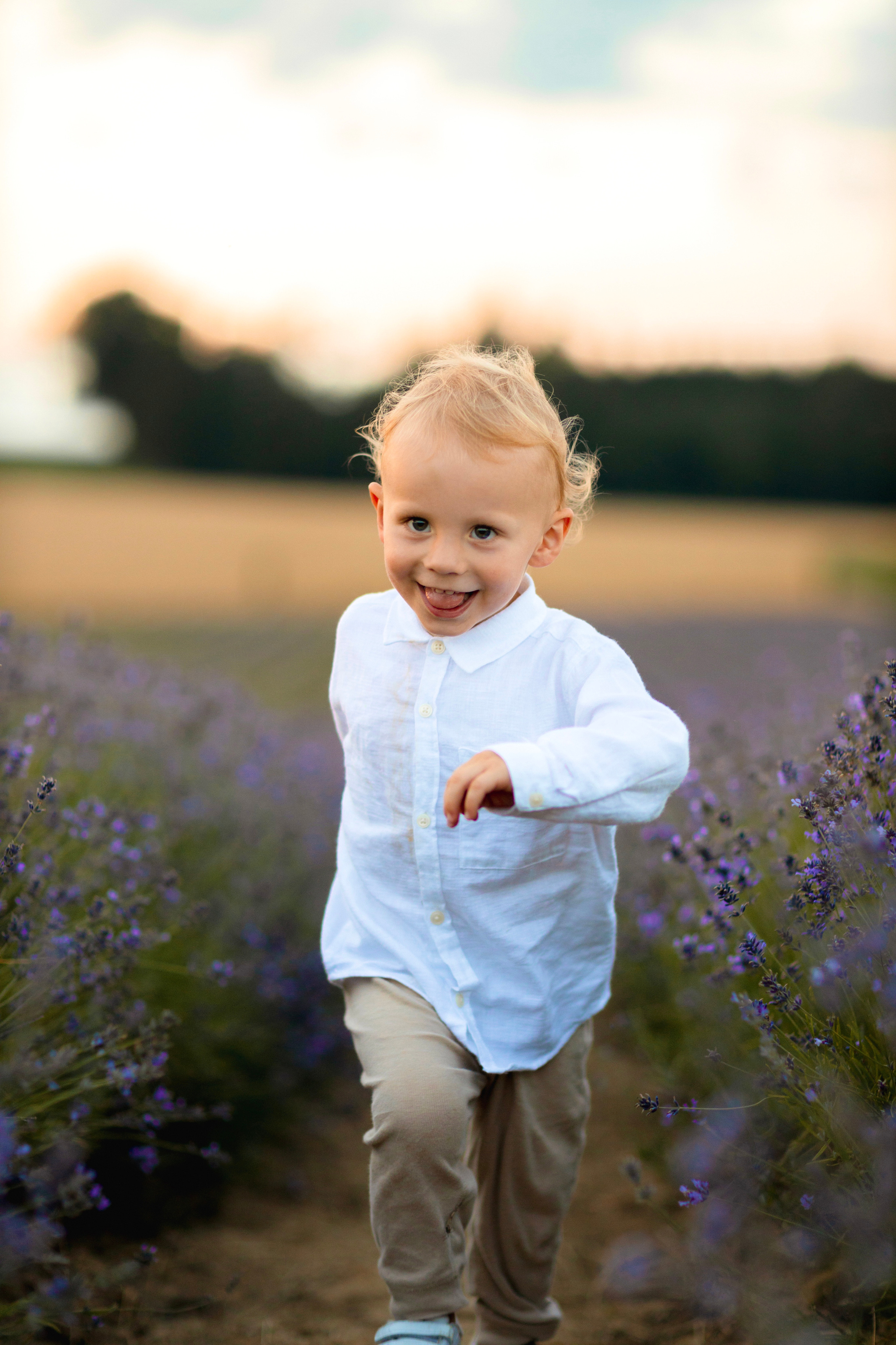 Picknick im Sommer. Hochzeitsfotograf München Taufe Familienfotograf Tanja Mauke