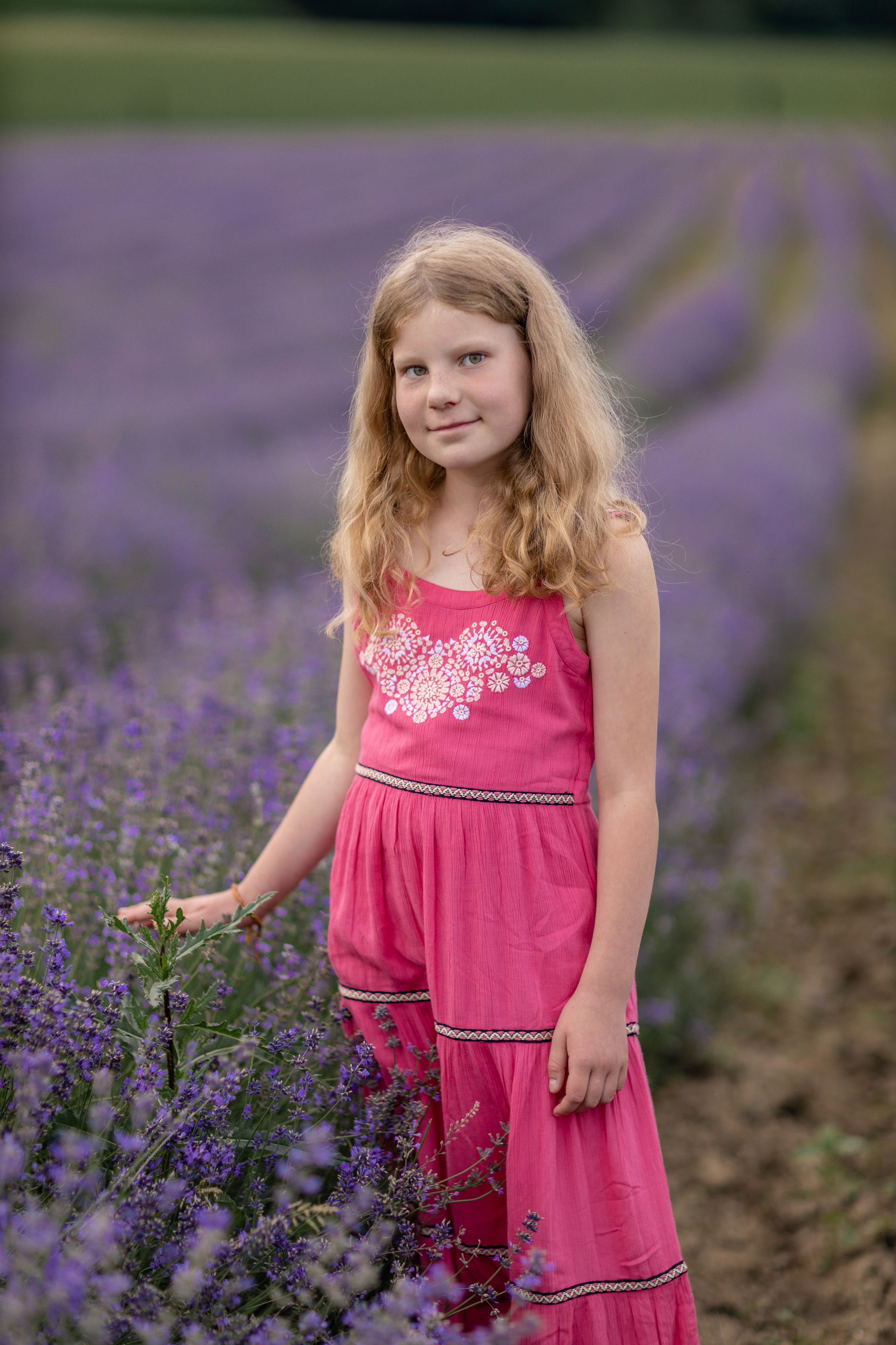 Im Lavendelfeld. Hochzeitsfotograf München Taufe Familienfotograf Tanja Mauke