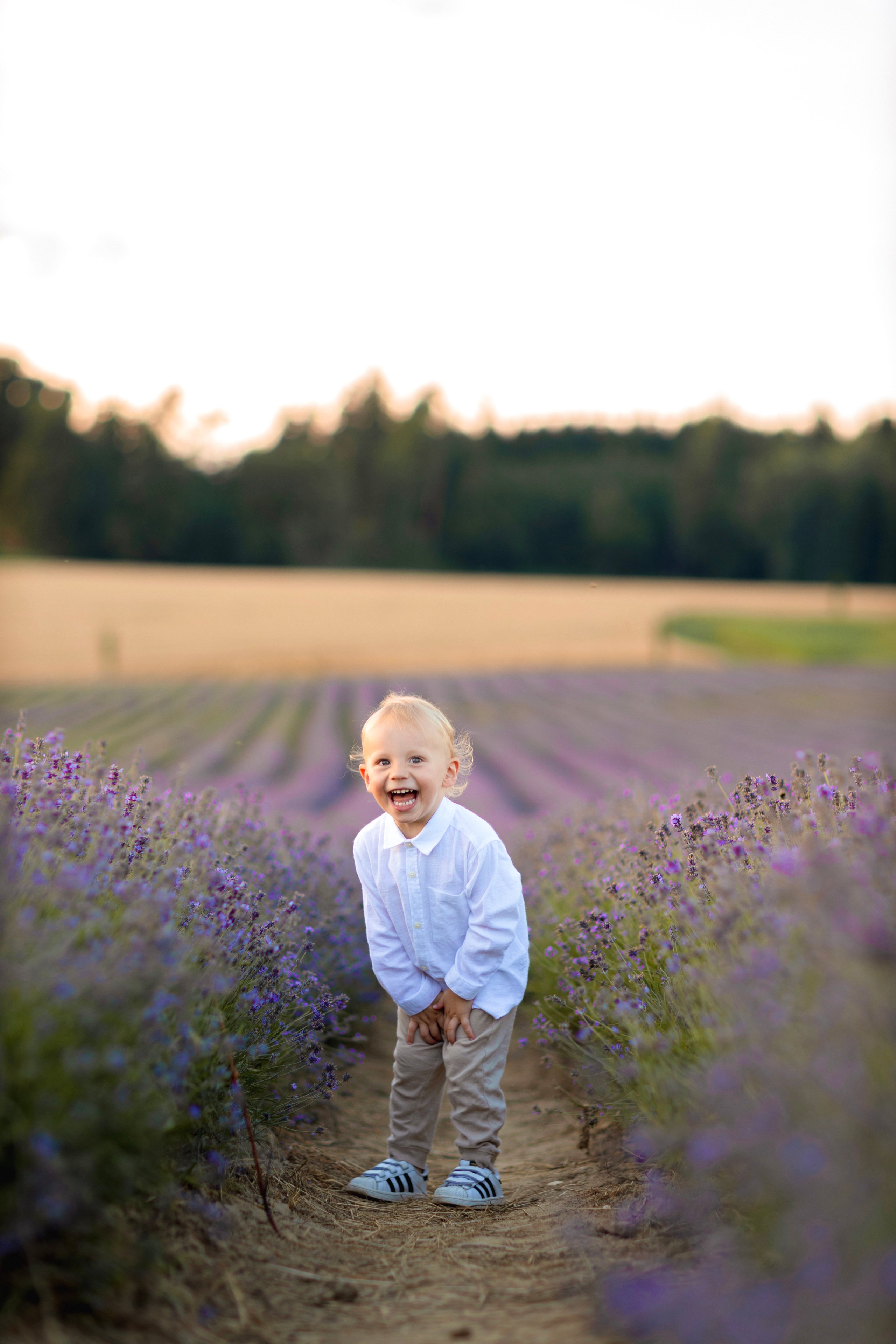 Picknick im Sommer. Hochzeitsfotograf München Taufe Familienfotograf Tanja Mauke