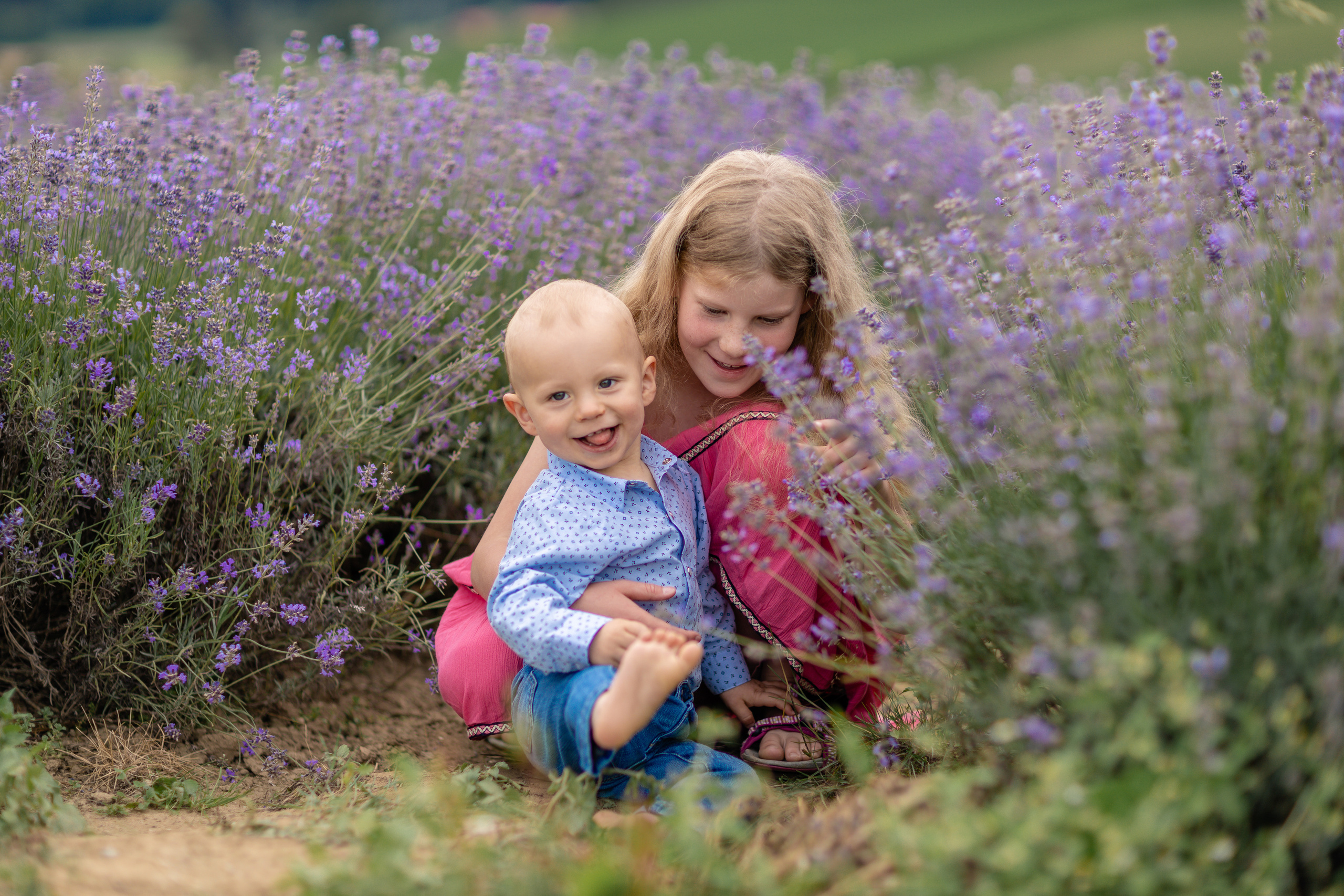 Im Lavendelfeld. Hochzeitsfotograf München Taufe Familienfotograf Tanja Mauke
