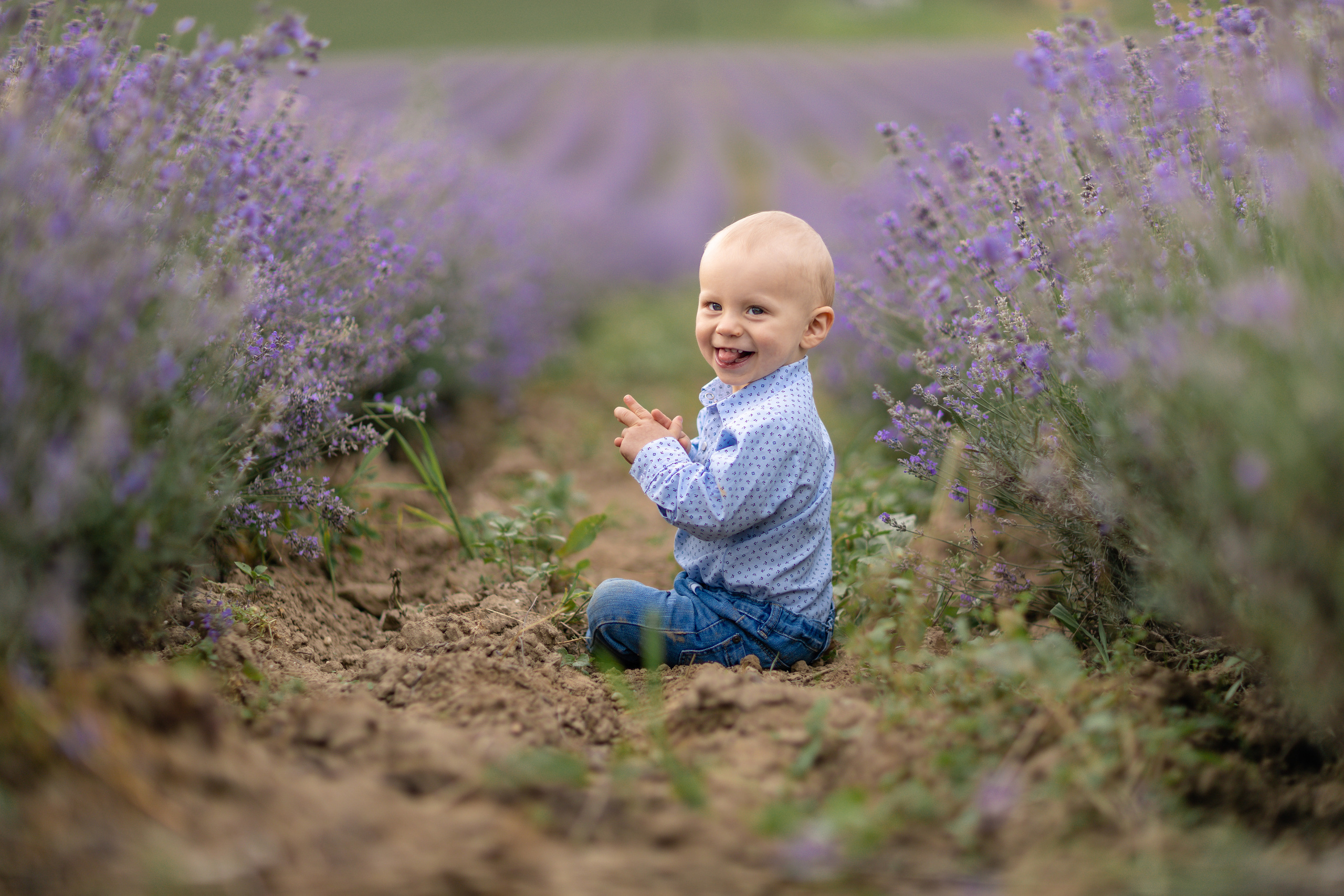 Im Lavendelfeld. Hochzeitsfotograf München Taufe Familienfotograf Tanja Mauke