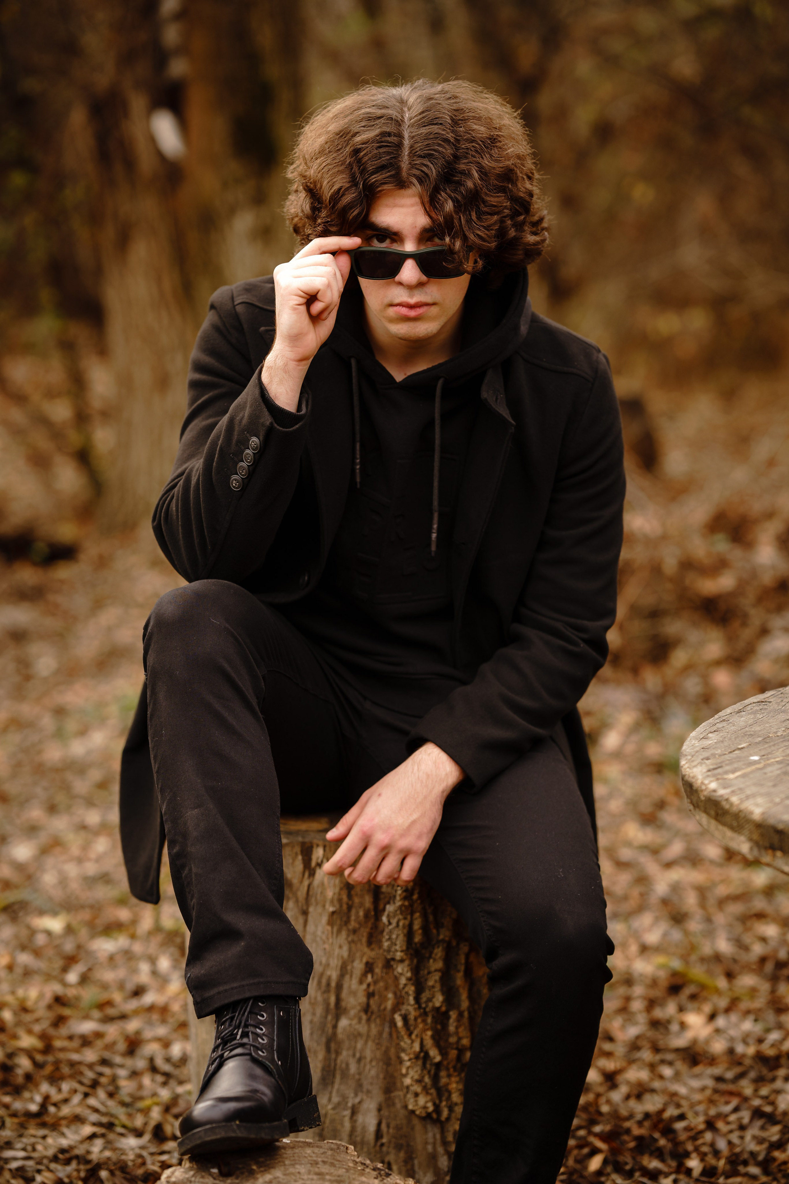 Padurea Ceala Gratuit. Trendy Albums