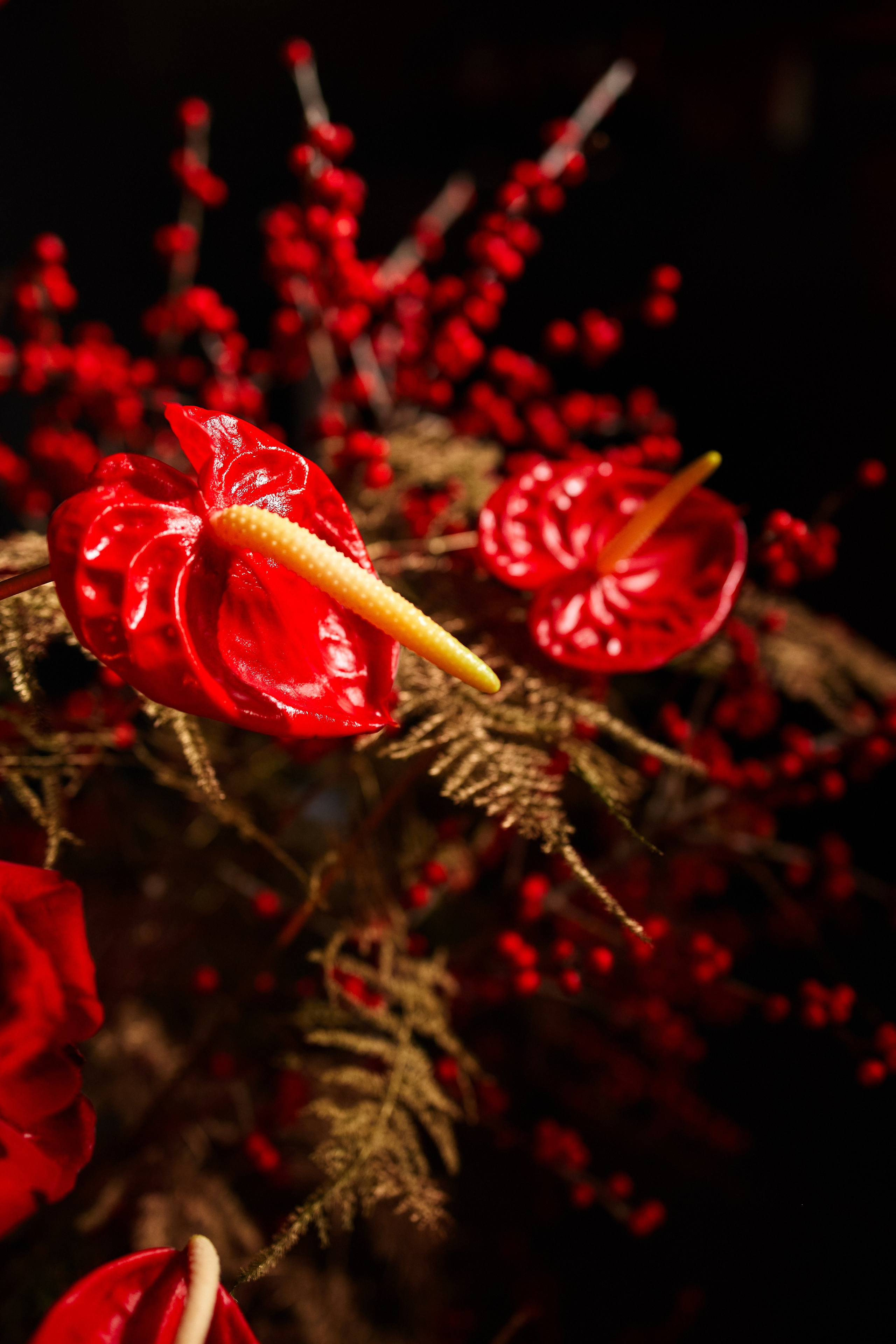 Новогодний корпоратив. Свадебный и семейный фотограф в Риге Игорь Давидович