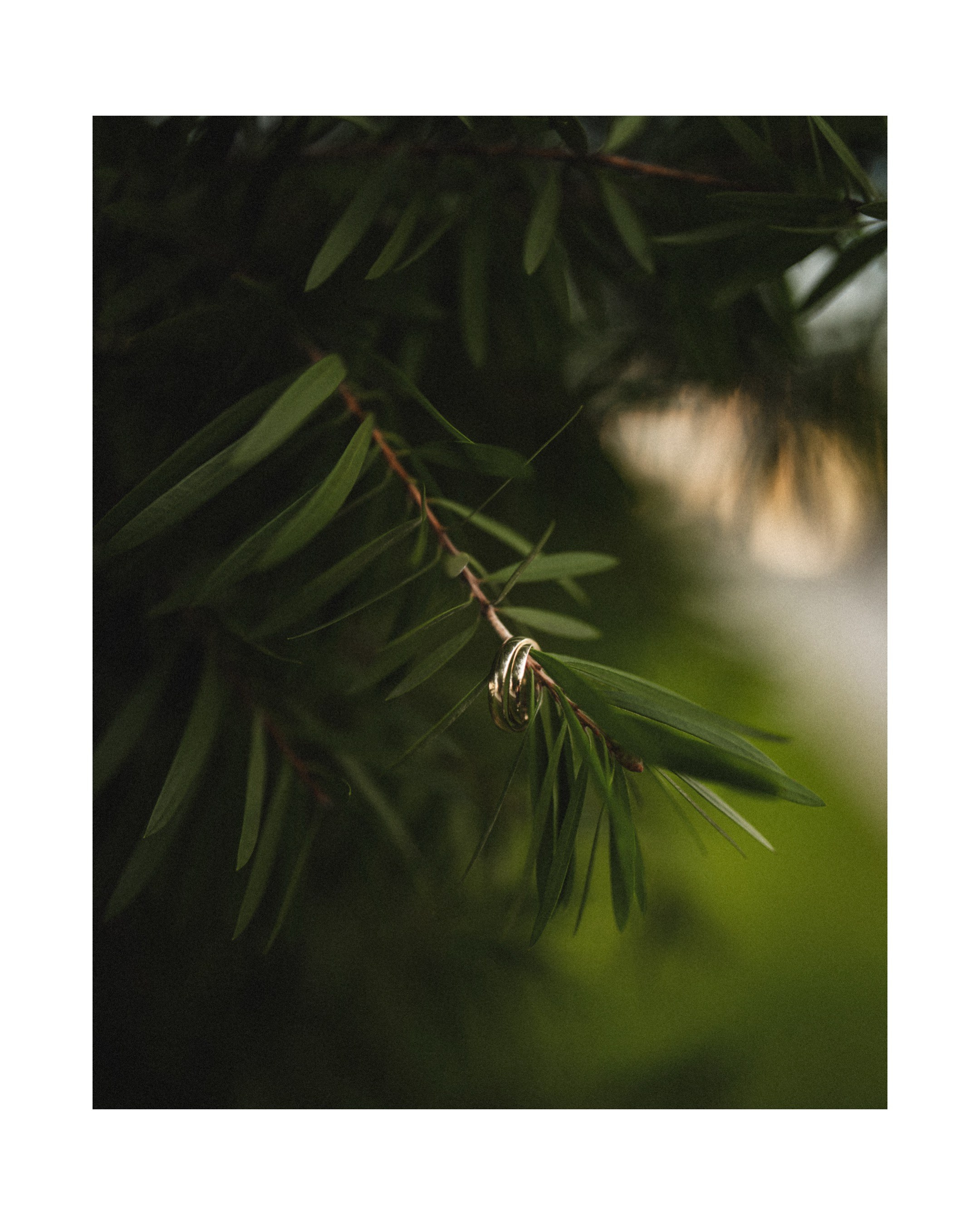 Услуги. Ekaterina Verbitskaya. Photography