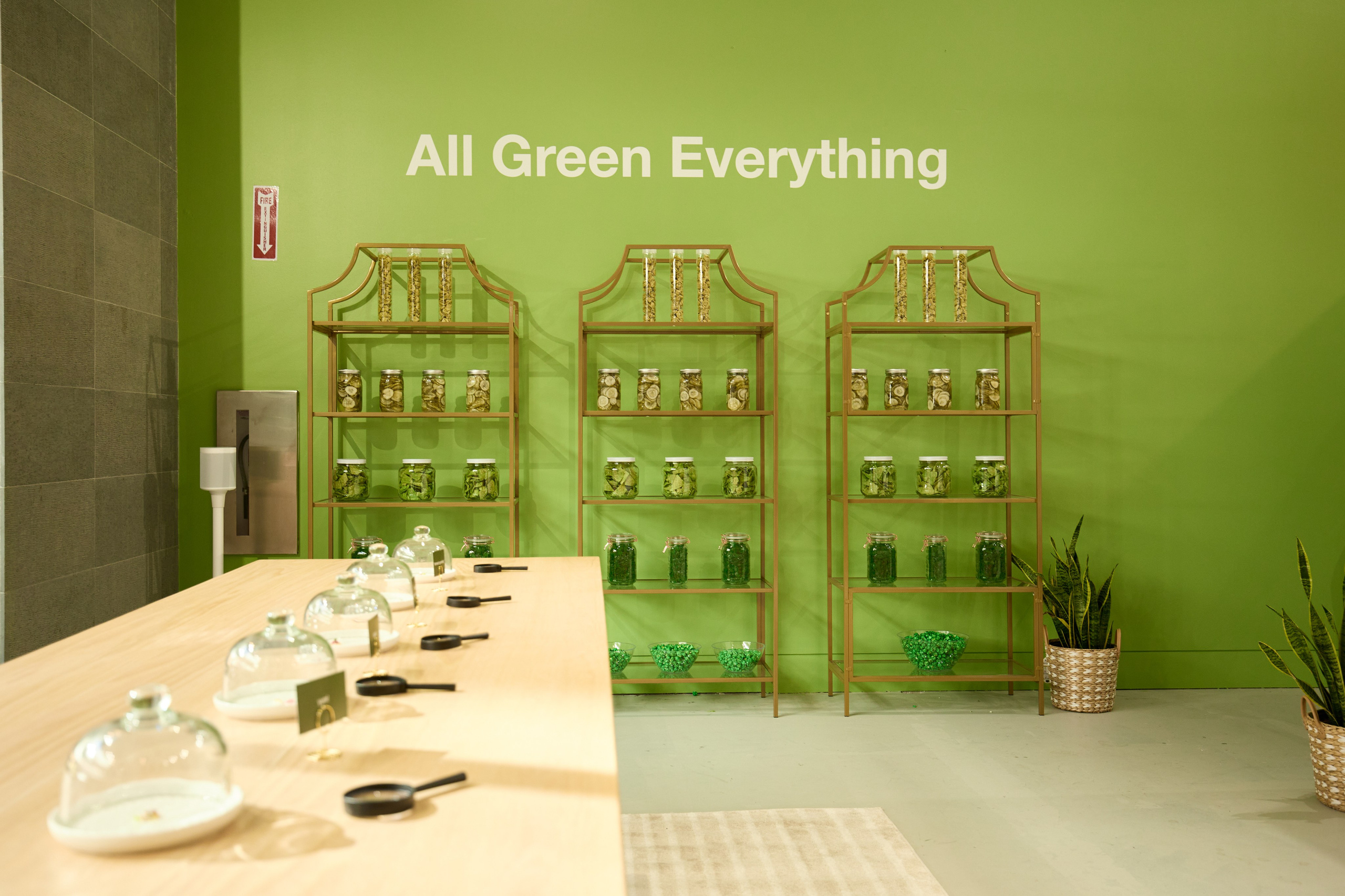 Events. Dave Grit Photography