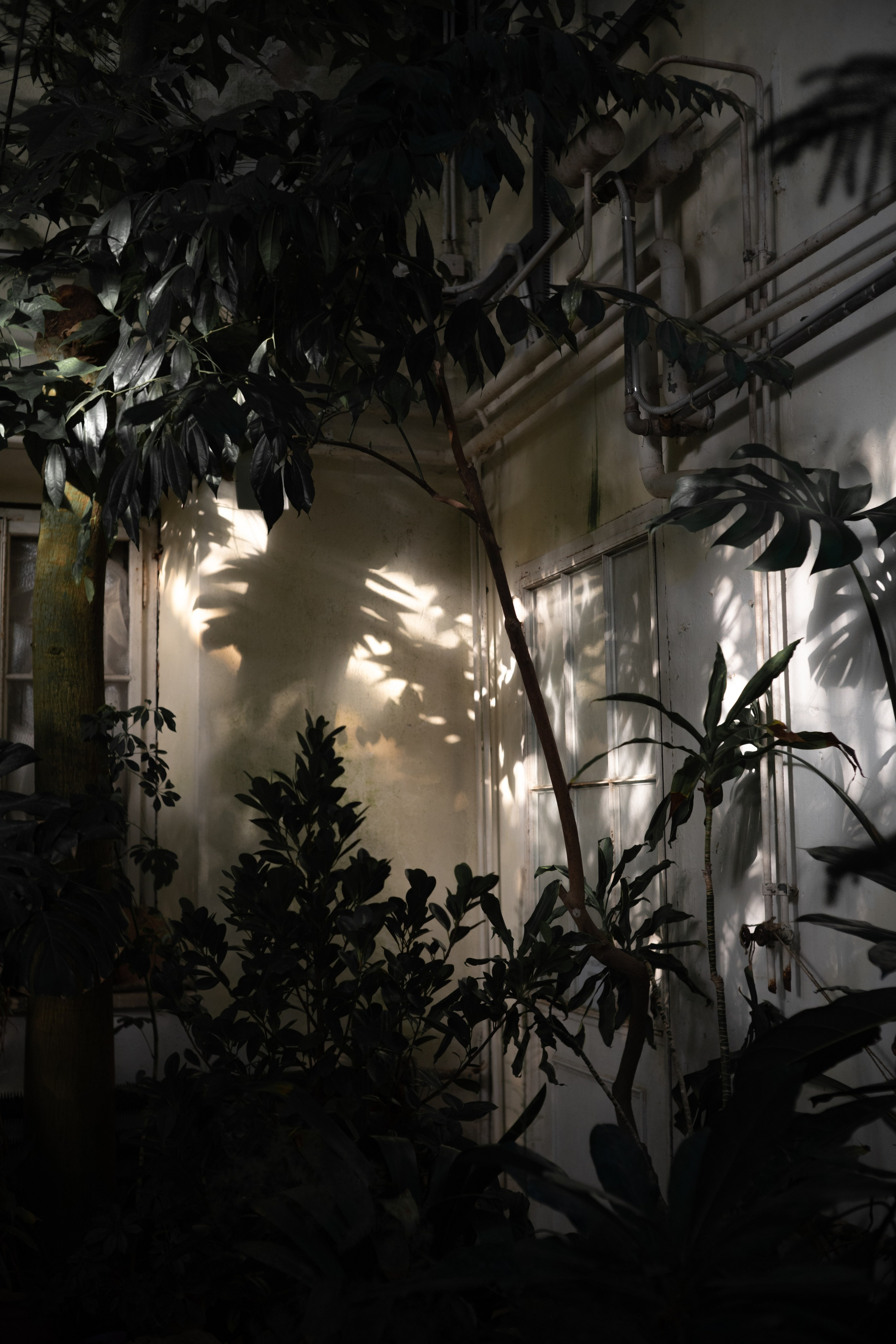 Portreti spoštovanja. Фотограф и видеограф Мария Бортякова из Словении: событийная, портретная и видеосъемка по всей Словении