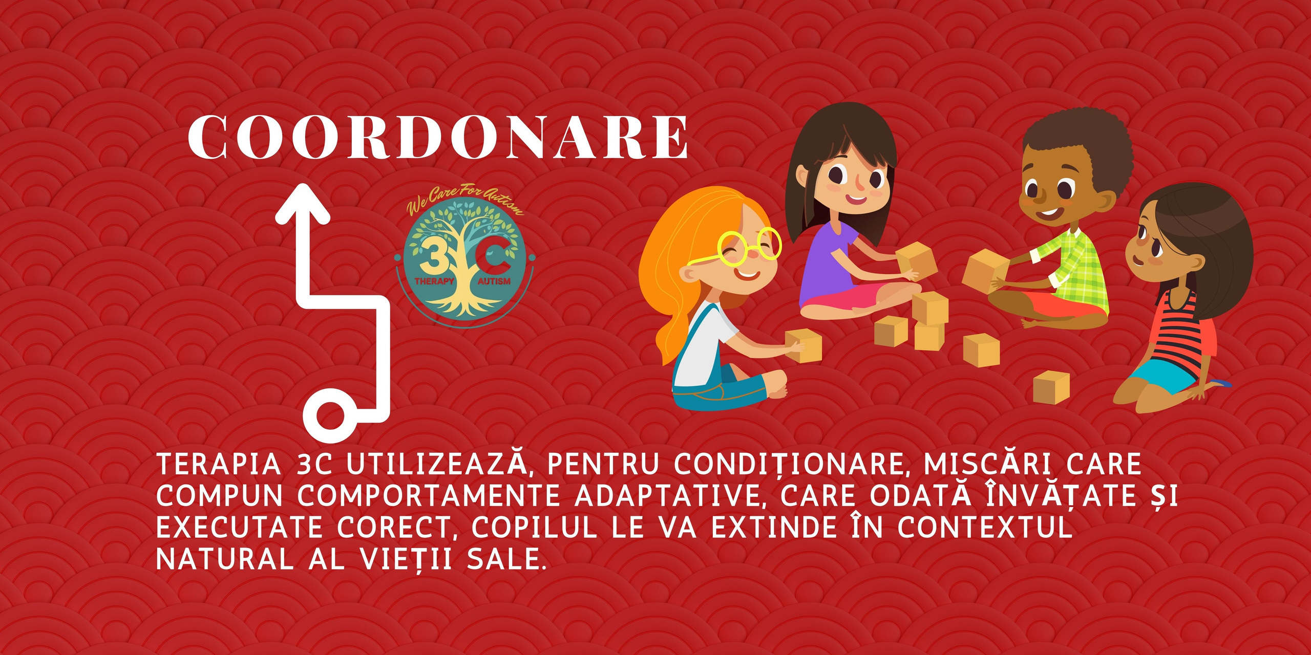 Echipa Centrului. Terapia 3c Ploiesti