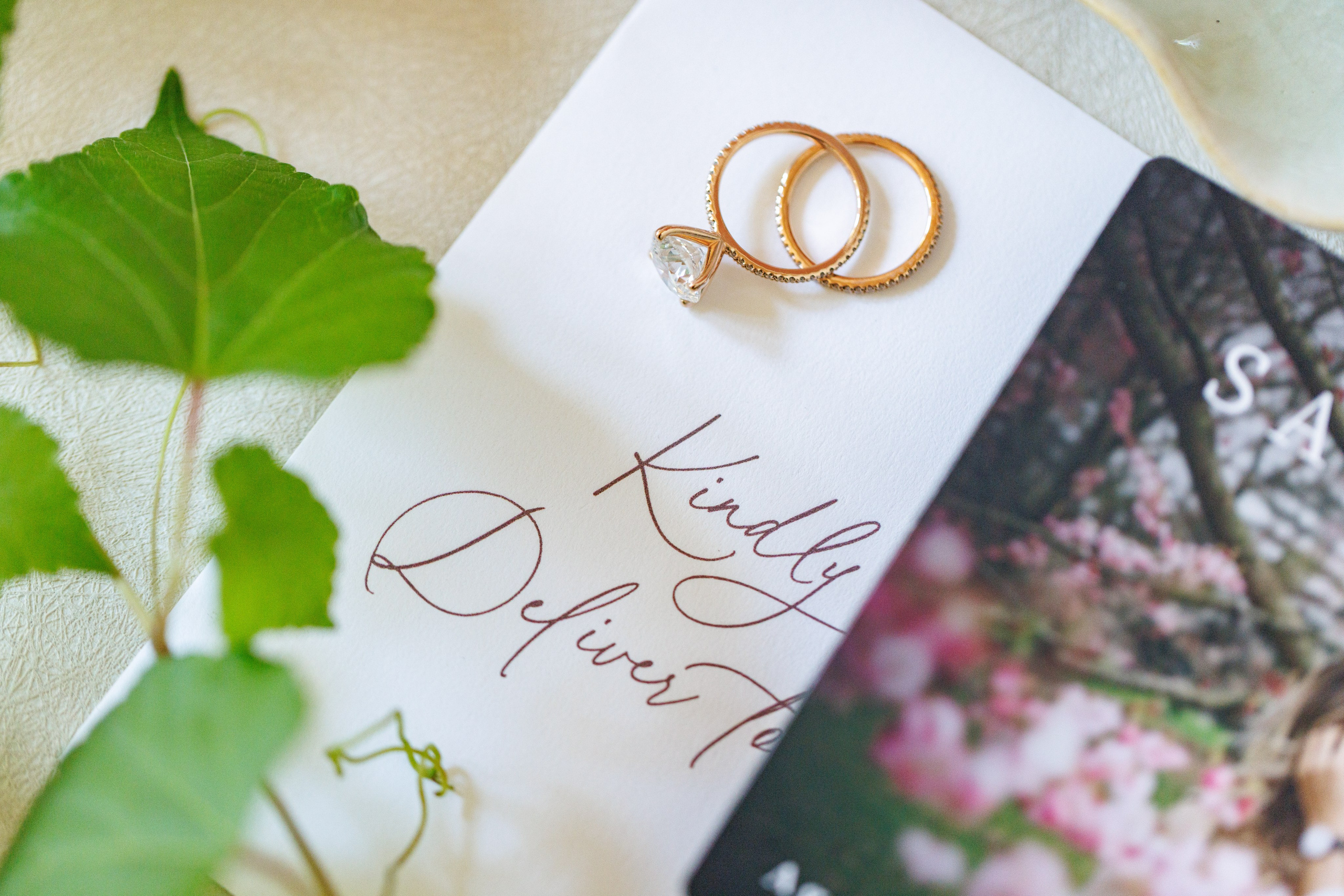 Agata & Eddie. Wedding Photo & Video