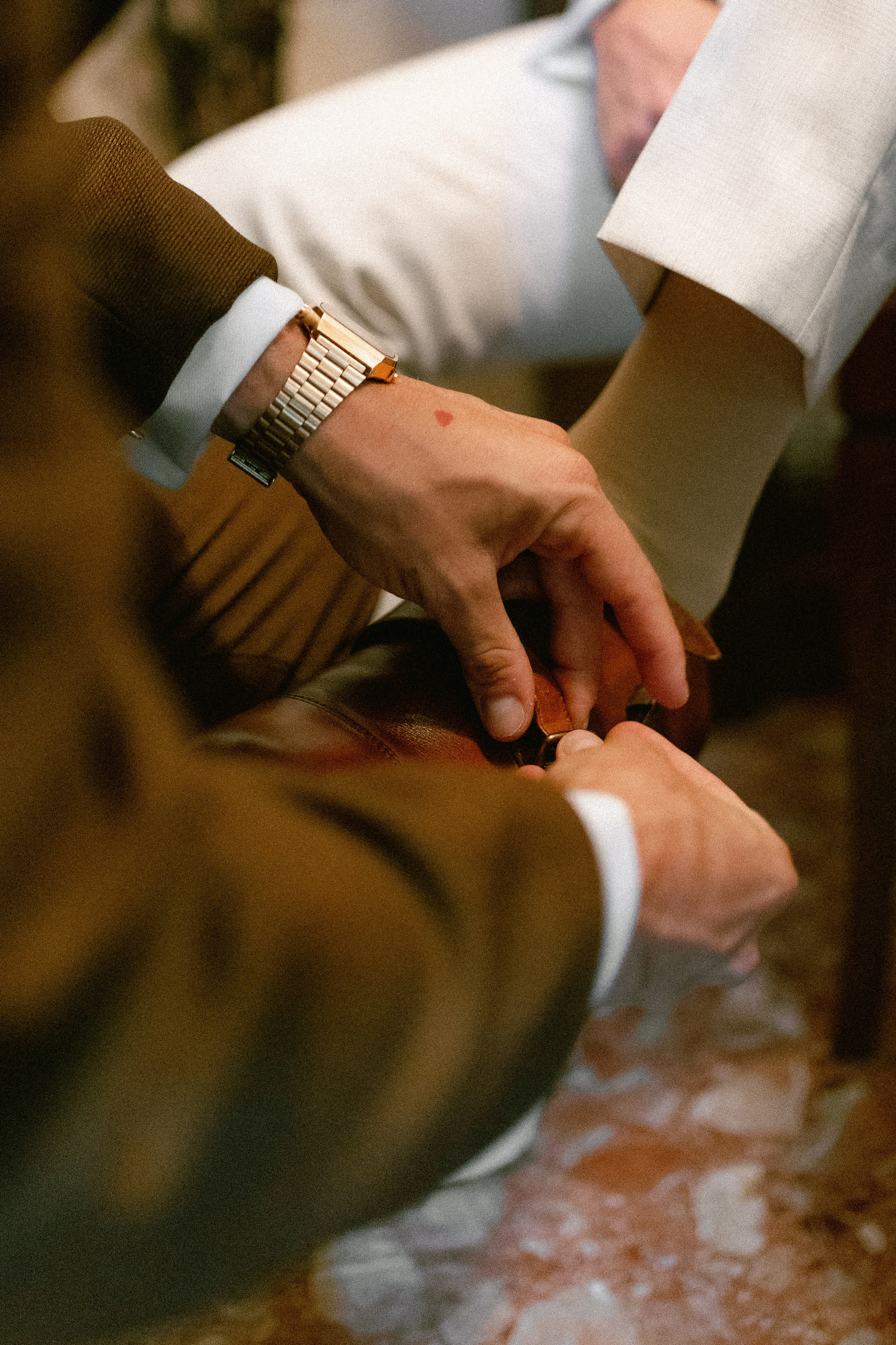 Luis & Sara · Boda en Bodegas Sani Viña Extremeña, Almendralejo | Alianza Weddings