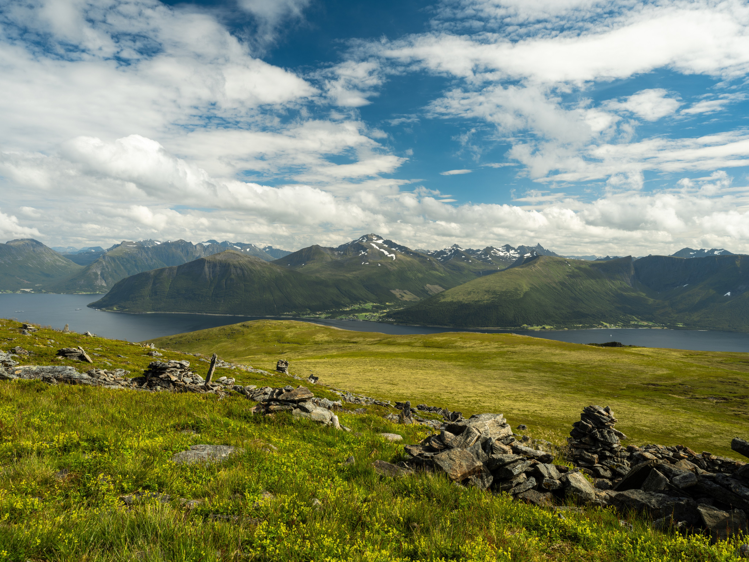 Prints by D.Todosyev