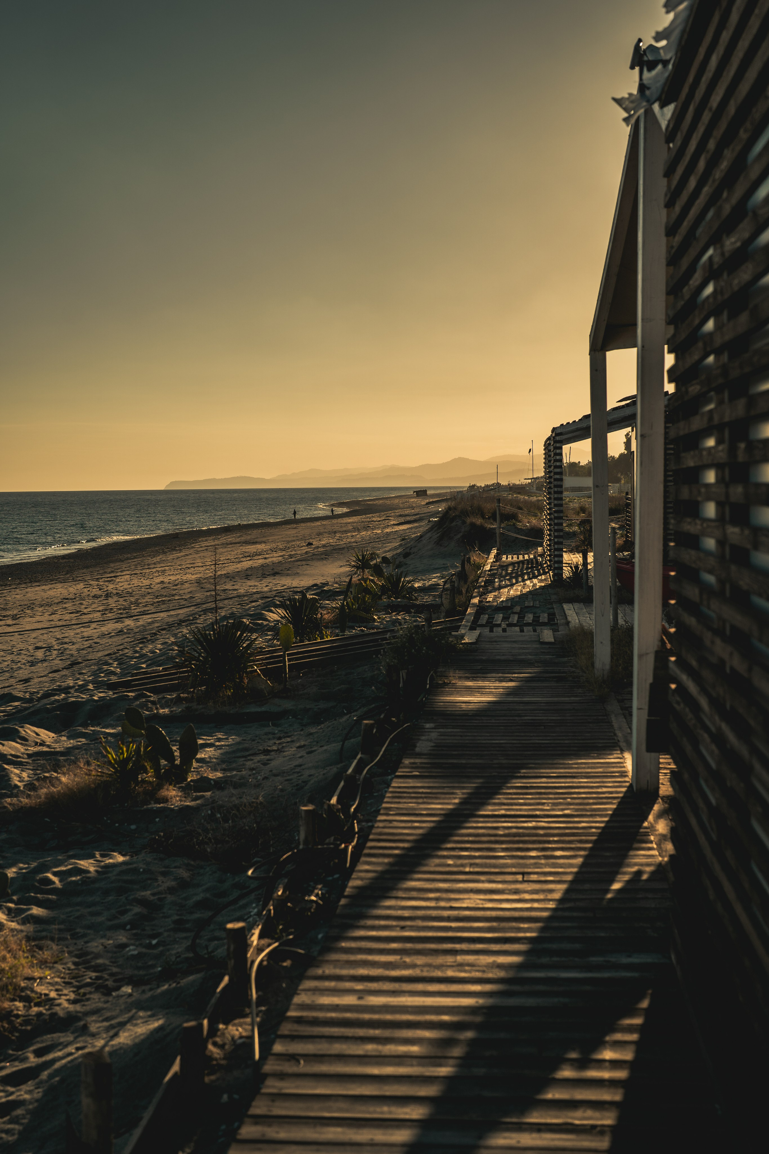 Naturalistica. Frank Prochilo Photography