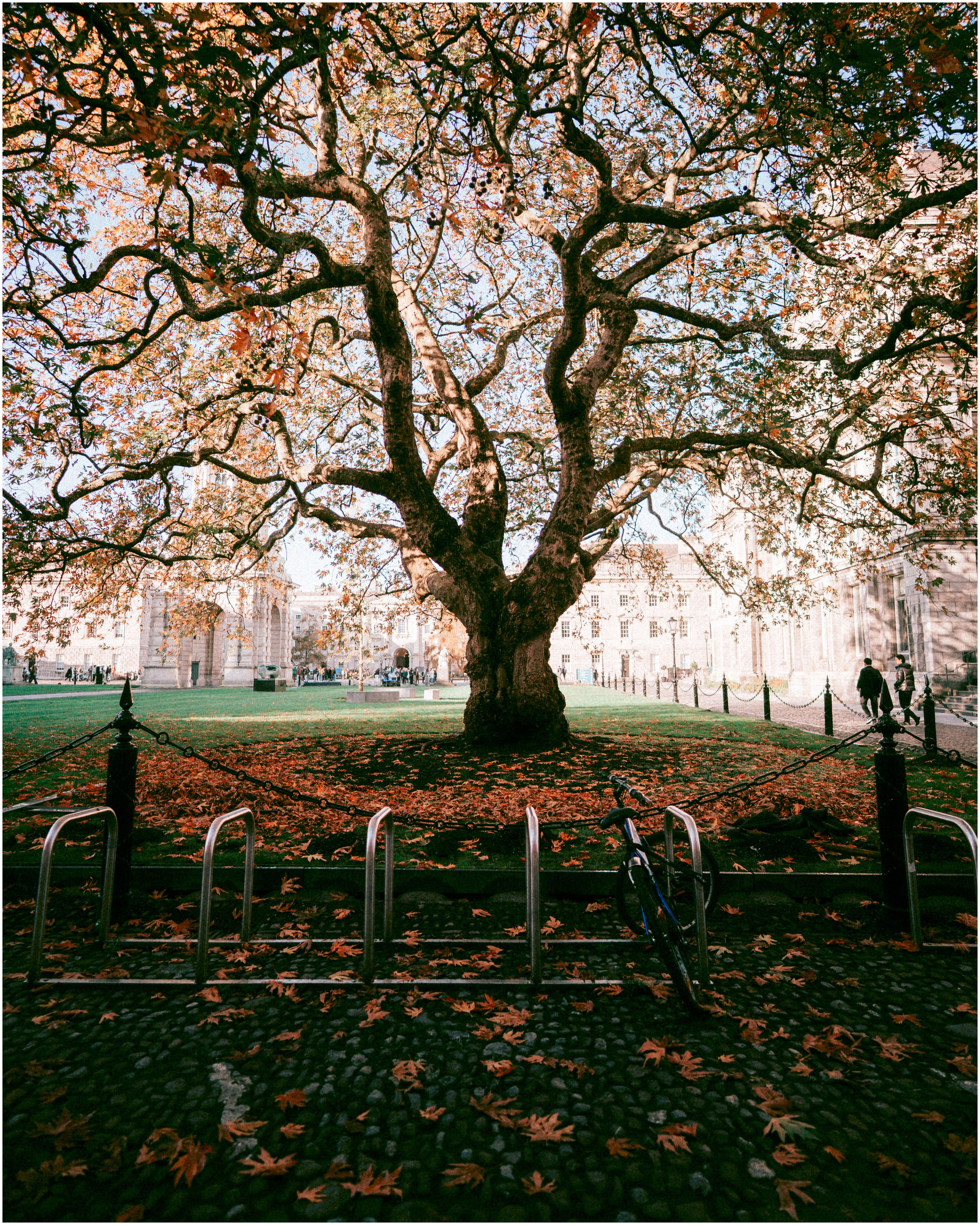 IRELAND. Inna Mendelson — Photographer