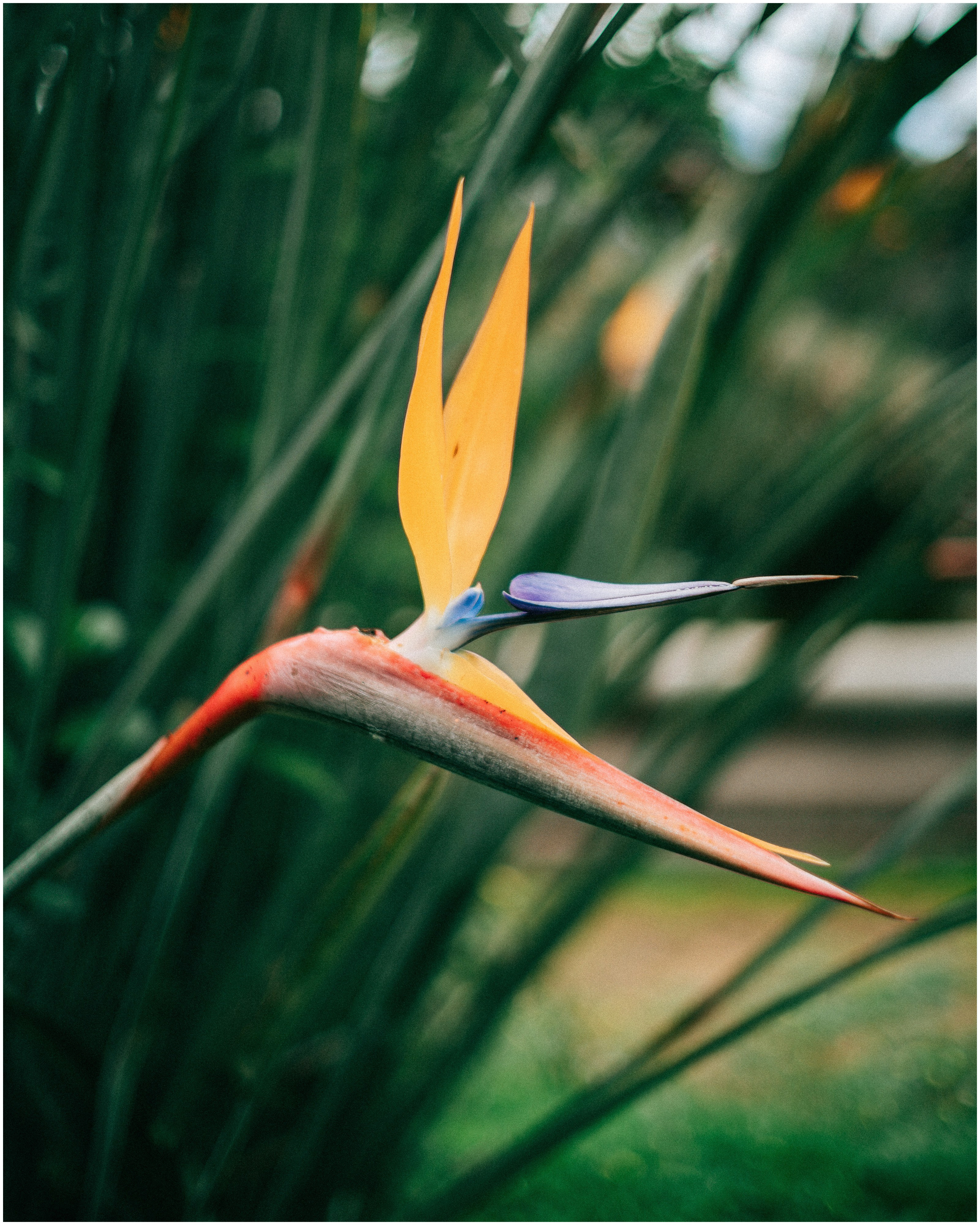 PALERMO. Photographer Inna Mendelson