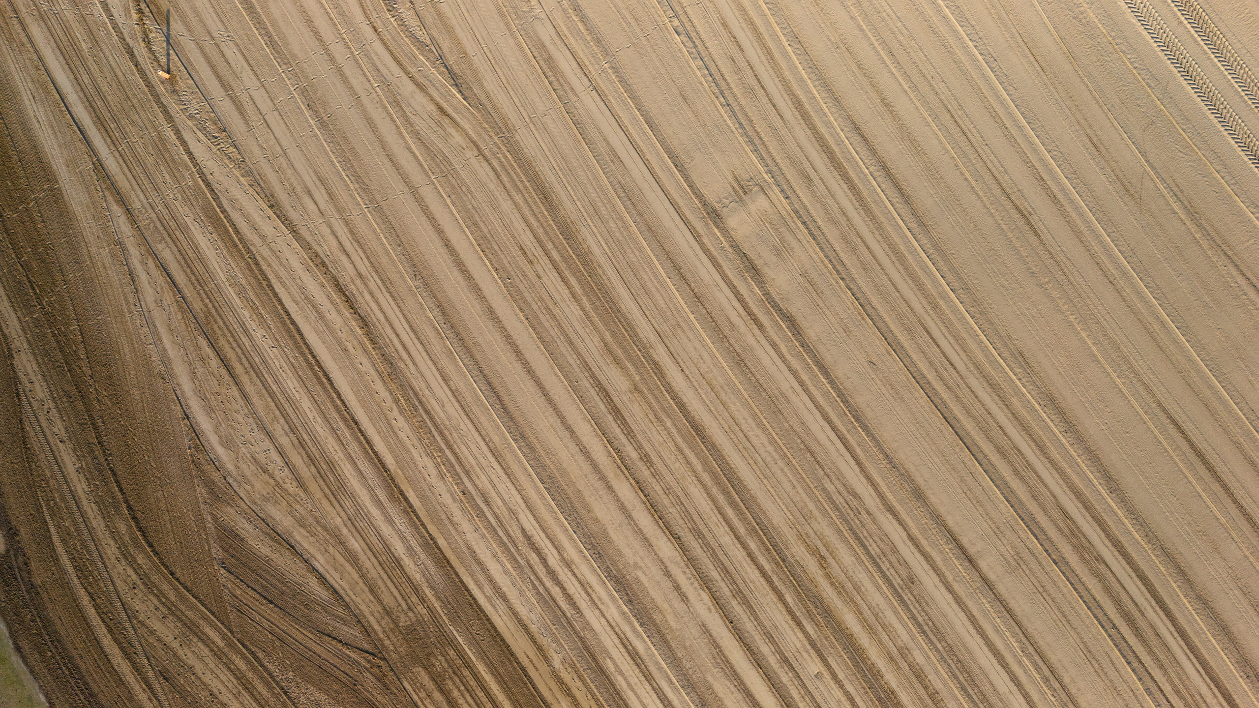 Street Photography. Portree- ja perefotograaf Anton Hansen Tallinnas, Eestis