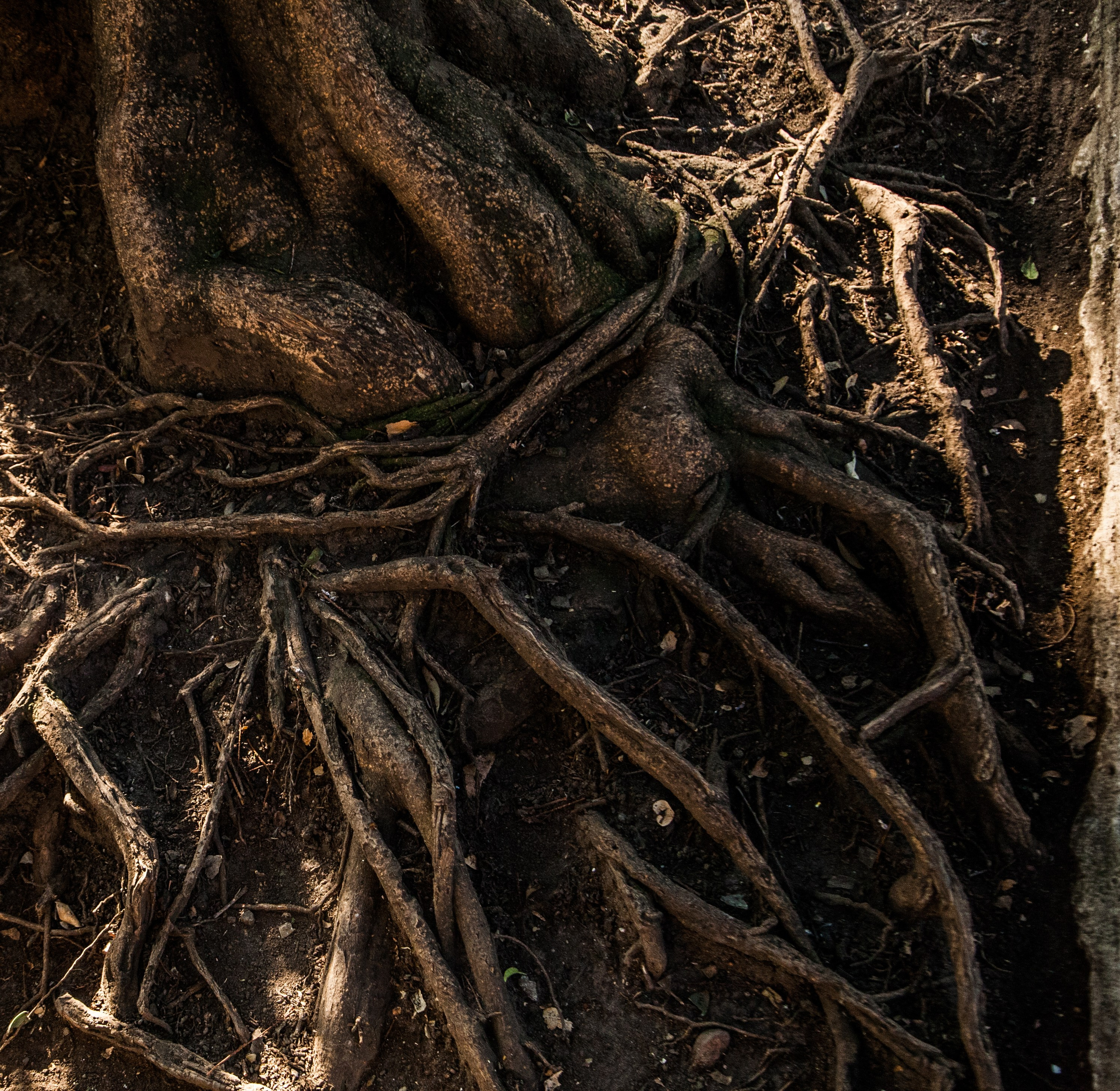 EXHIBITION. Lero Photographer and a set designer|individual custom portrait and advertising photography in Zutphen