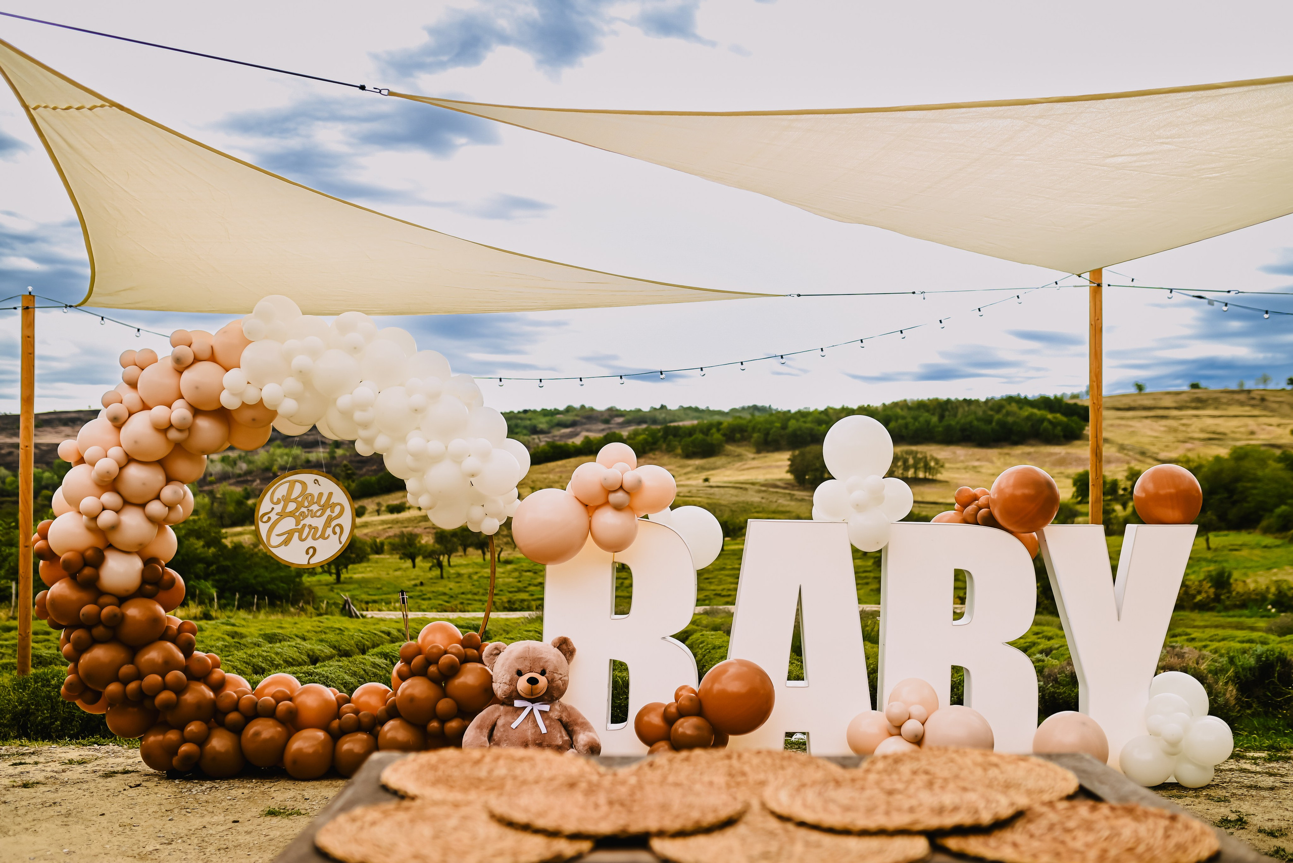 Gender reveal Alina & stefan. Giani Maftei