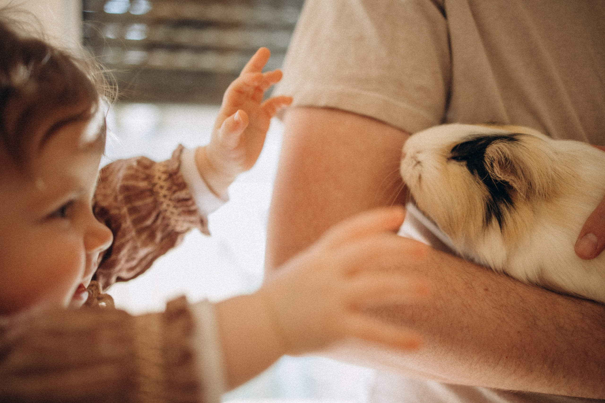 Bébés | 5 – 24 mois. Je suis Olga, votre photographe de famille à Metz et dans toute la France