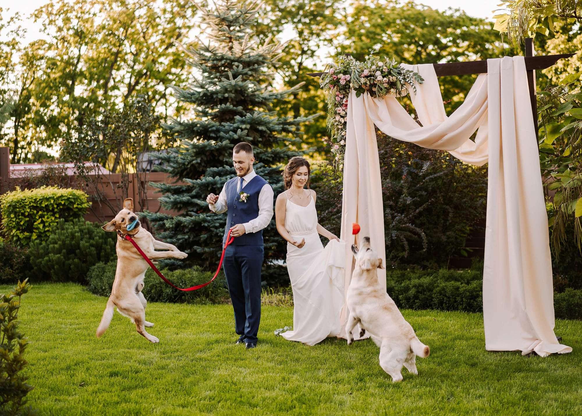 Backyard Wedding. Wedding Photography & Videography Team in California, Los Angeles, San Francisco, San Diego and Travel