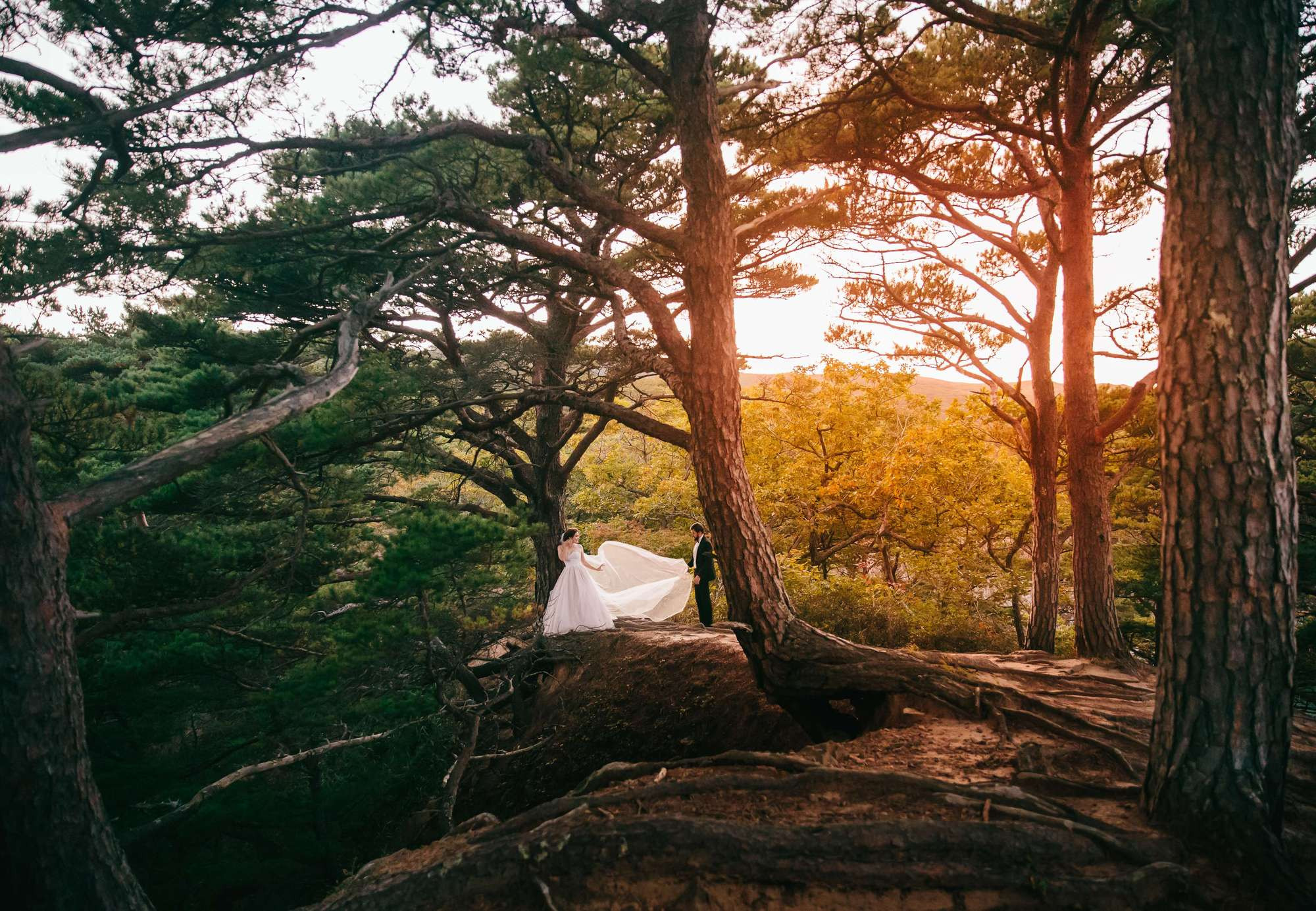 Big Sur Elopement. Wedding Photography & Videography Team in California, Los Angeles, San Francisco, San Diego and Travel