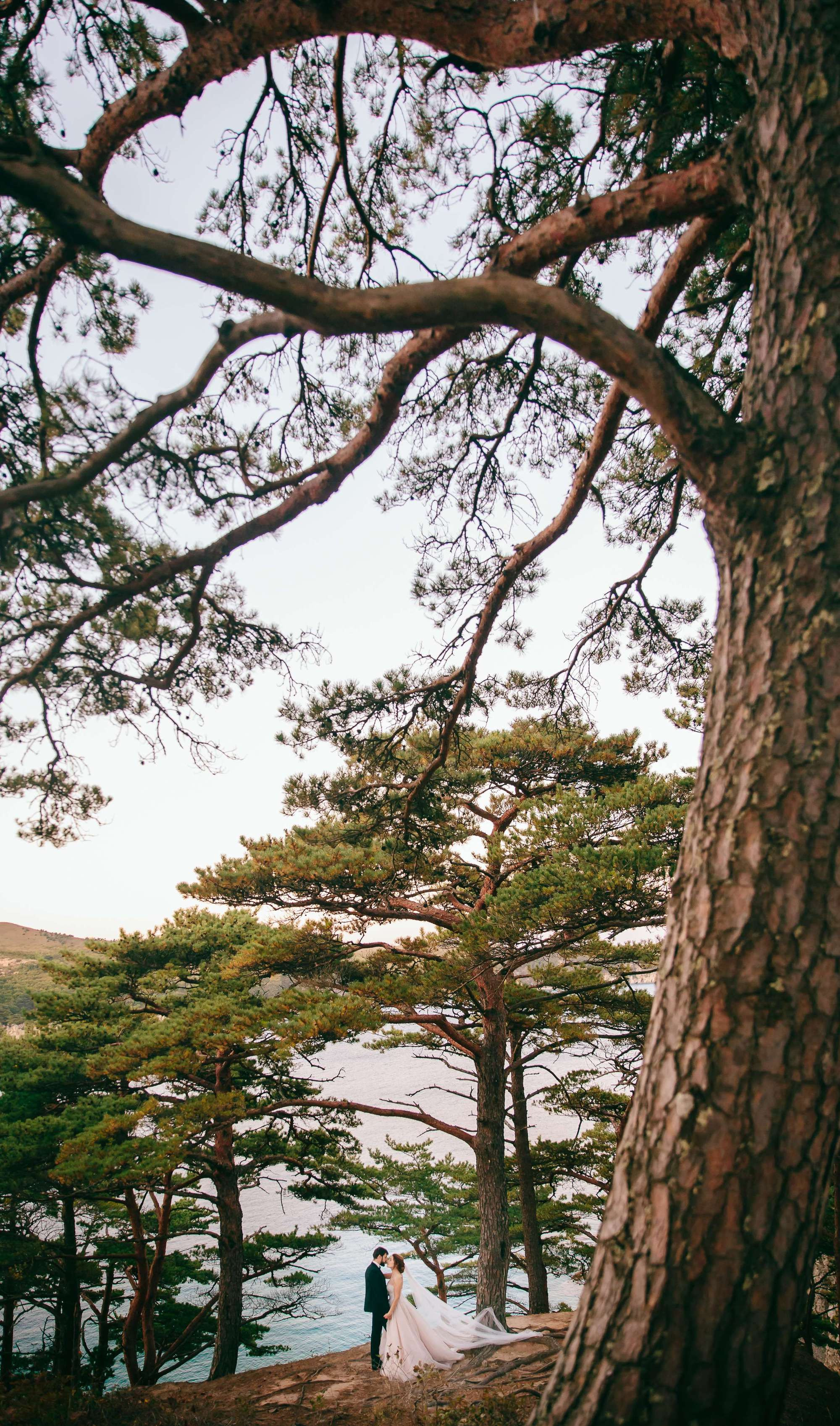 Big Sur Elopement. Wedding Photography & Videography Team in California, Los Angeles, San Francisco, San Diego and Travel