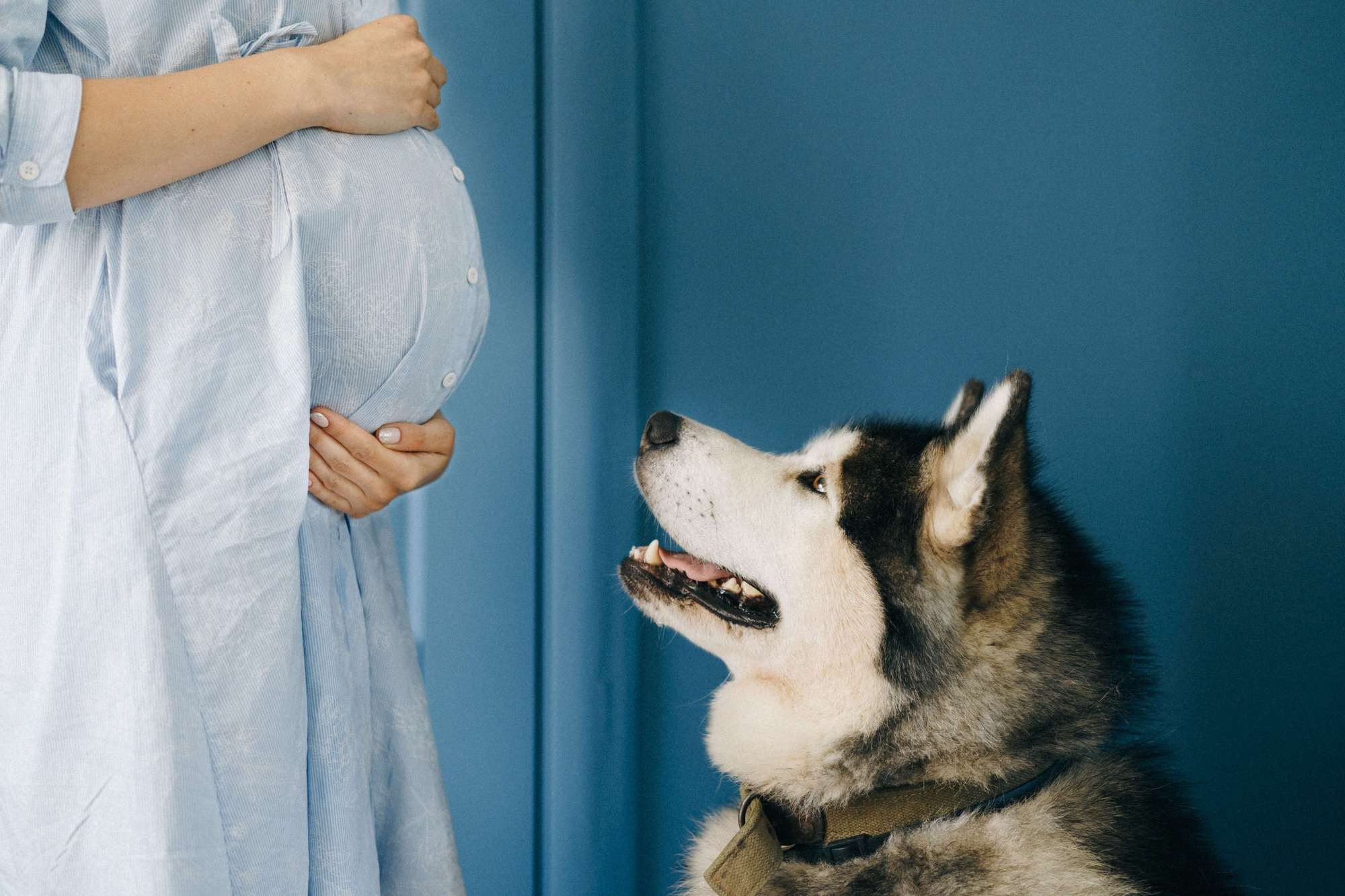 WAITING FOR A BABY. Wedding Photography & Videography Team in California, Los Angeles, San Francisco, San Diego and Travel