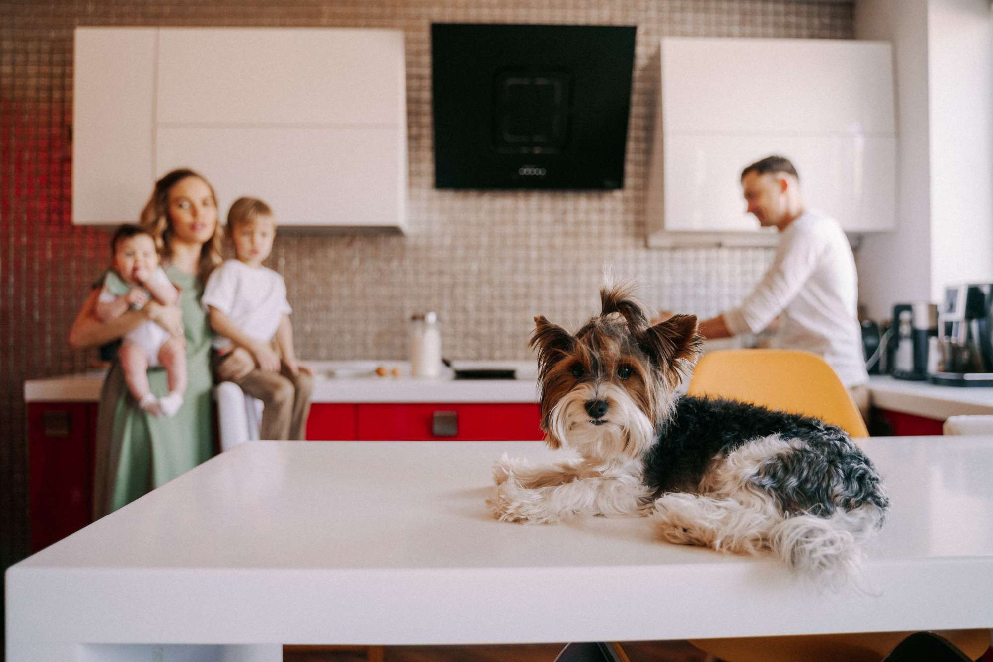 FAMILY SESSION AT HOME. Wedding Photography & Videography Team in California, Los Angeles, San Francisco, San Diego and Travel