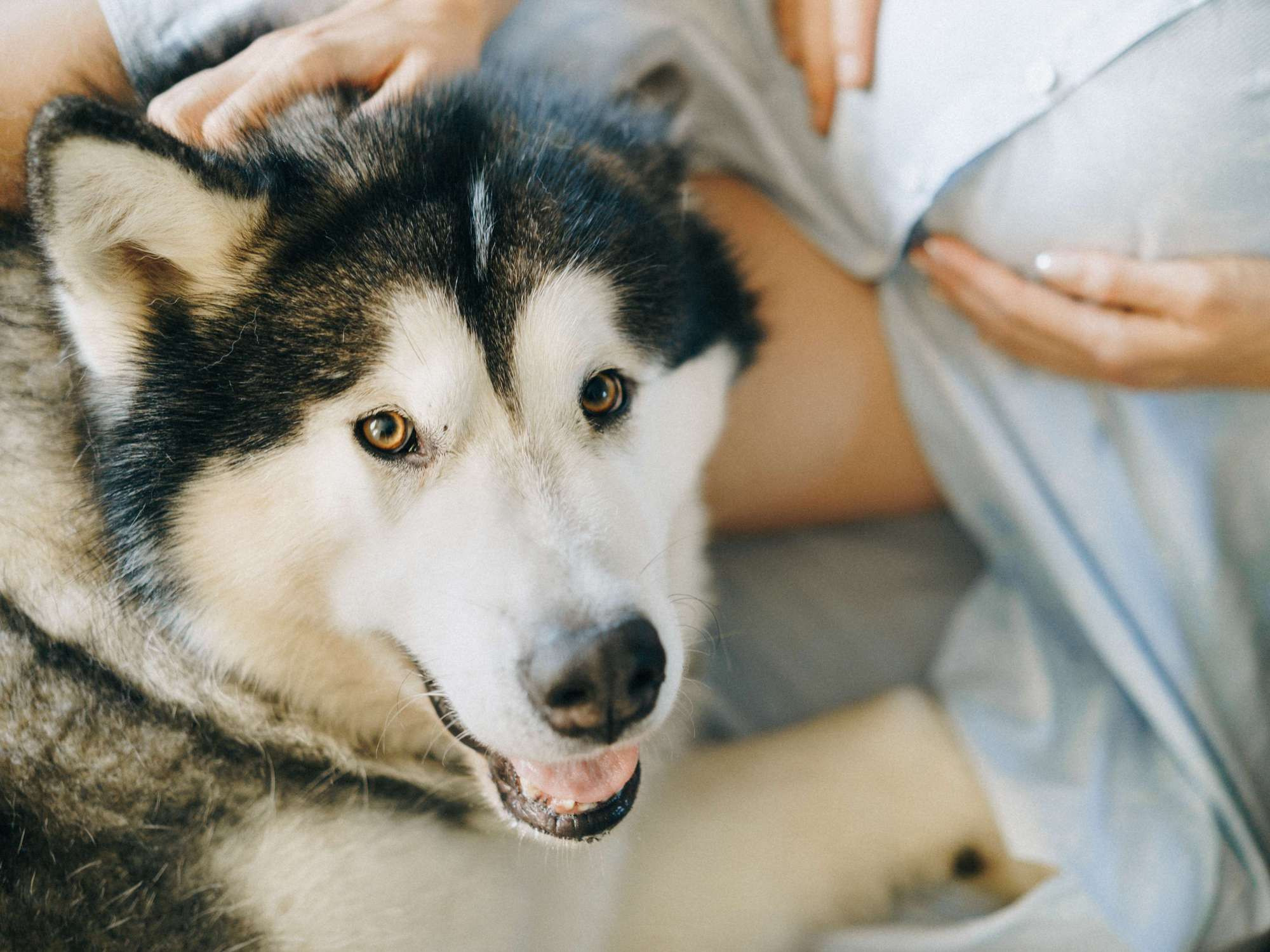 WAITING FOR A BABY. Wedding Photography & Videography Team in California, Los Angeles, San Francisco, San Diego and Travel