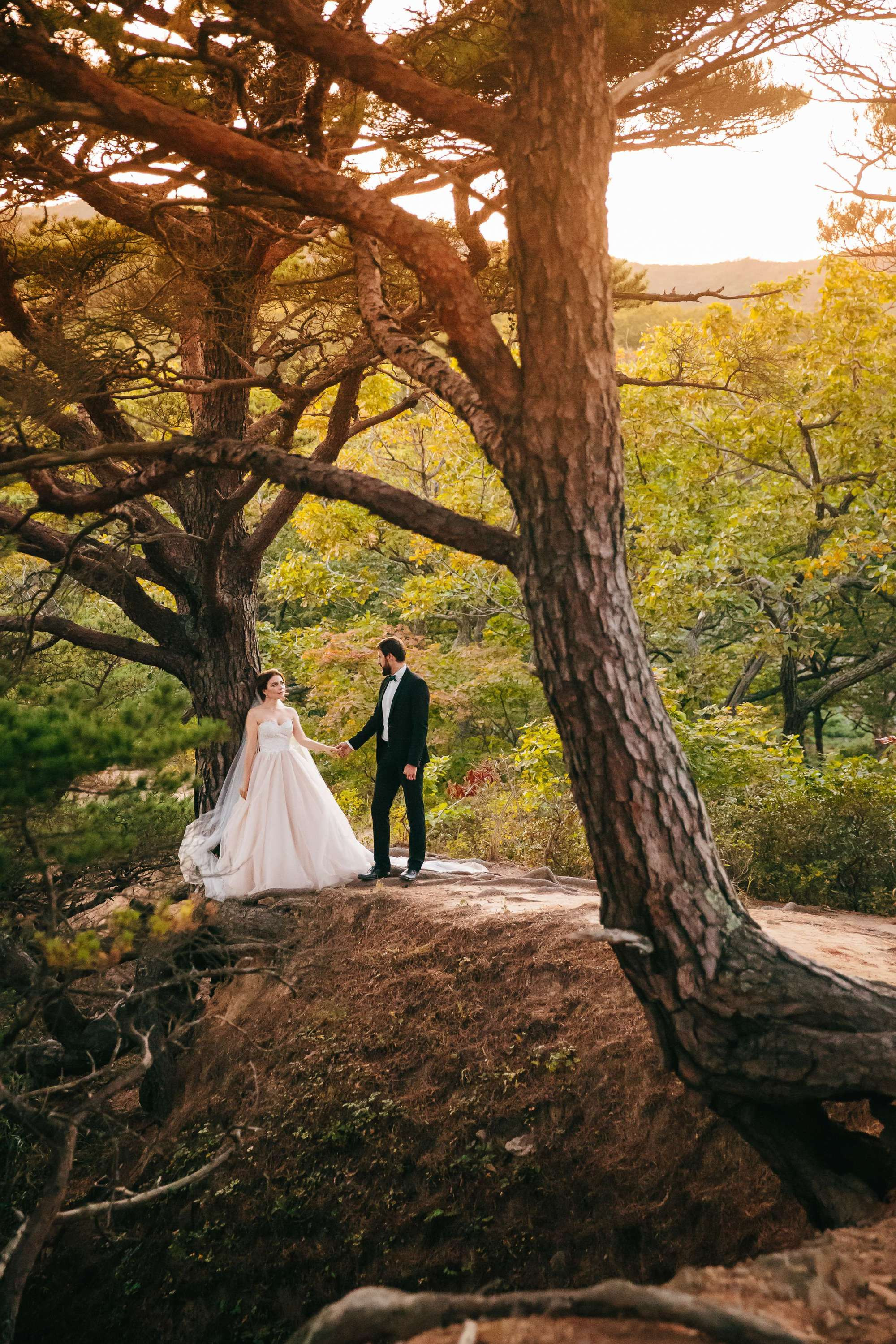 Big Sur Elopement. Wedding Photography & Videography Team in California, Los Angeles, San Francisco, San Diego and Travel