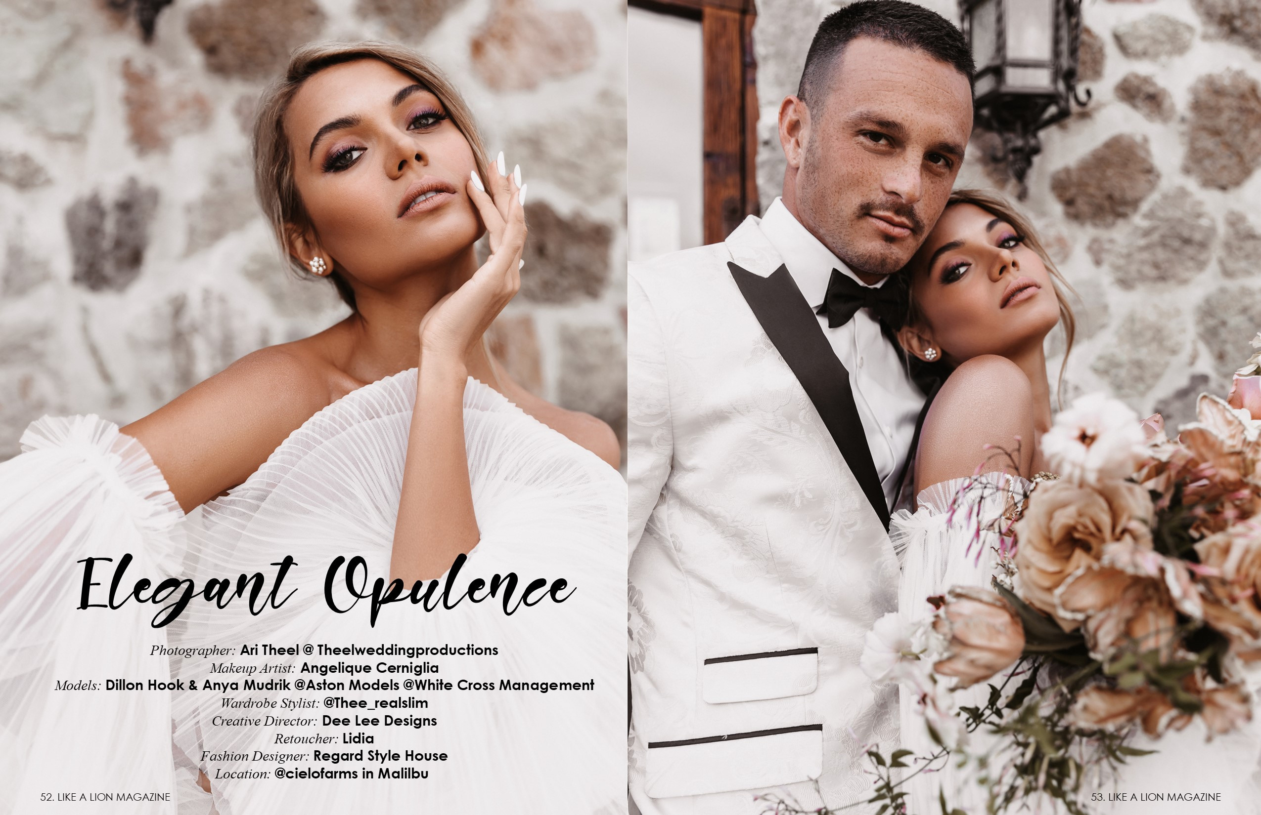 Like a Lion Magazine. Commercial retoucher