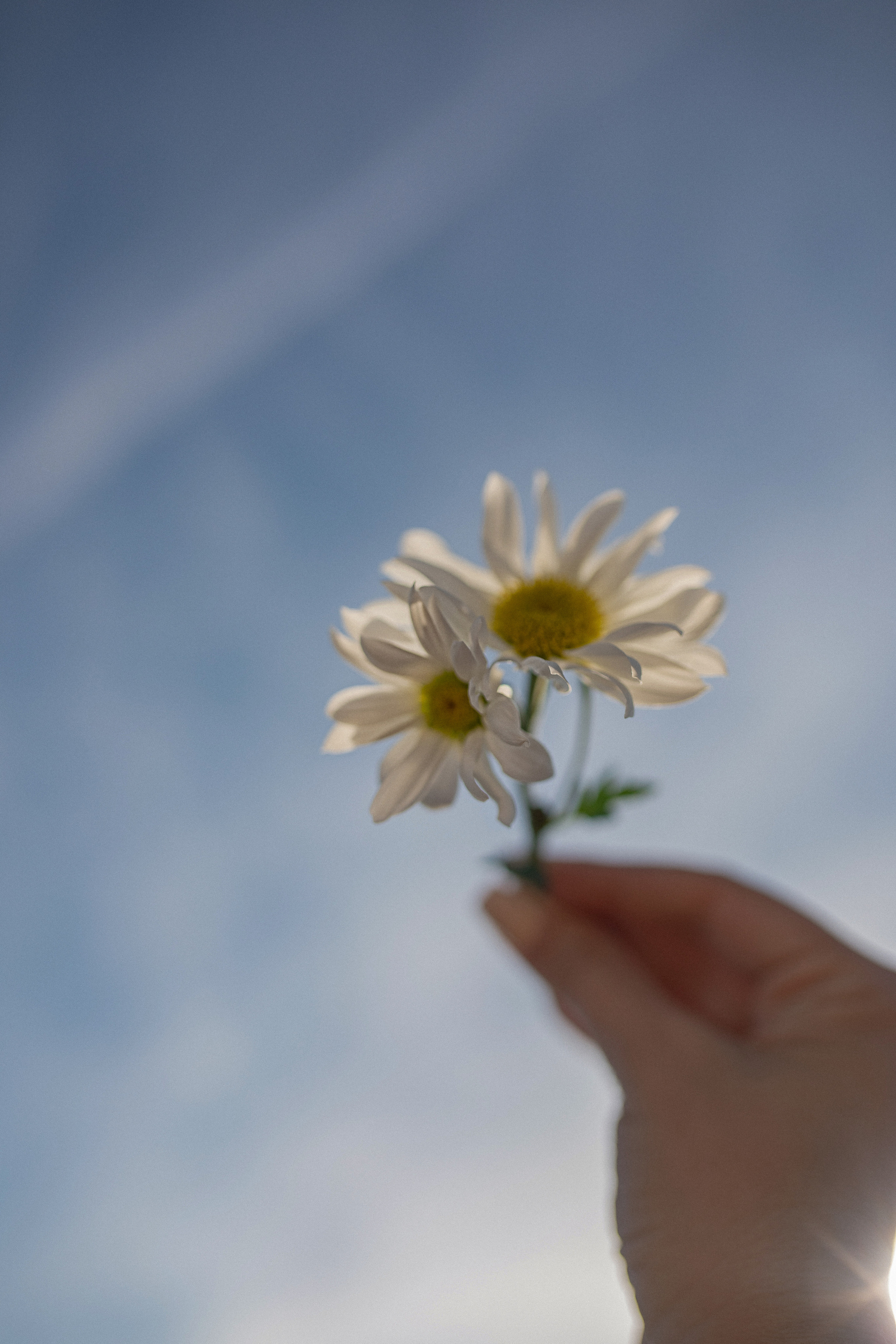 Пикник на скалах (Лара). Фотограф в Турции | Алания, Сиде, Белек, Анталия, Кемер)