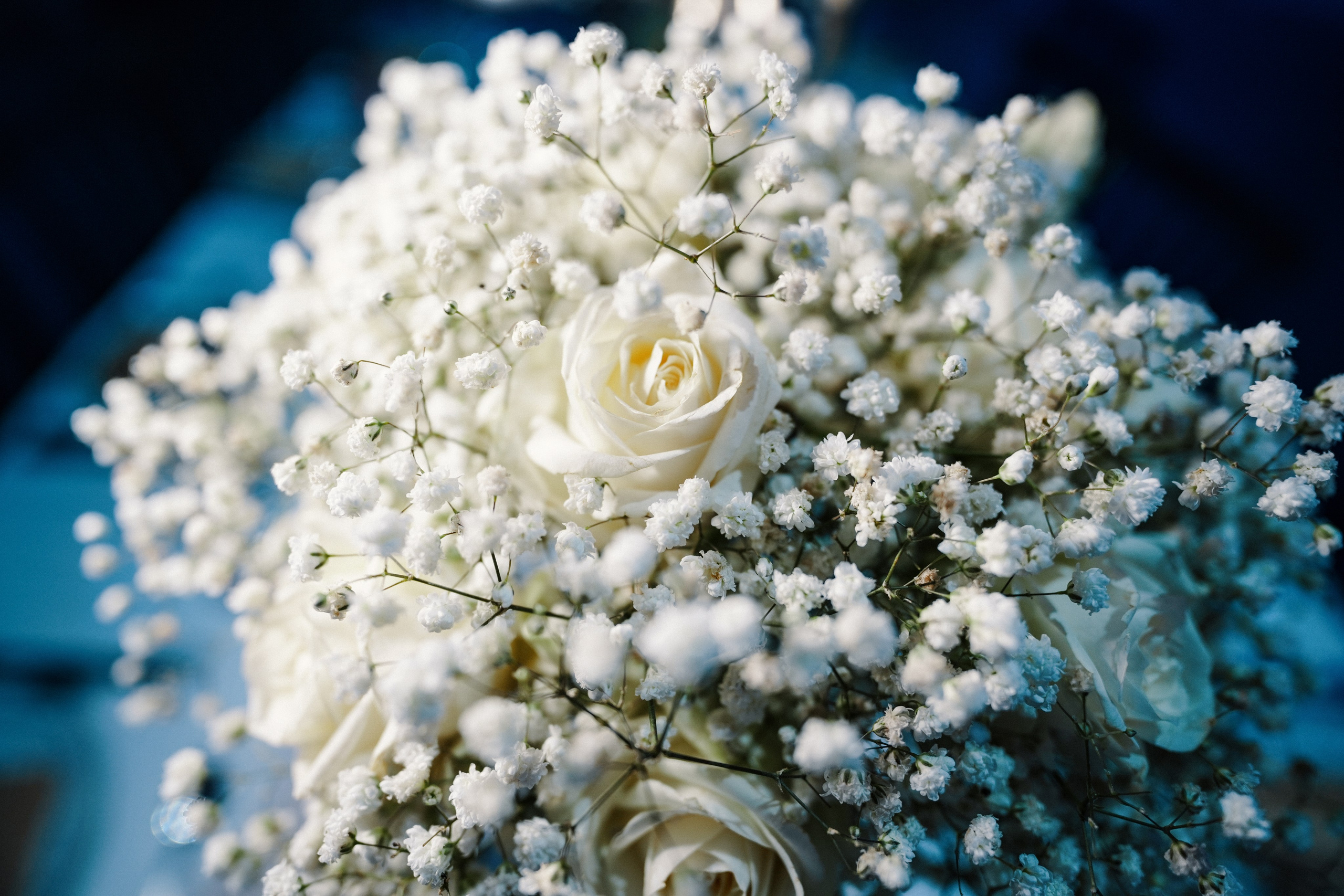 Nicol & Emanuel. Dmitry Gorodetsky Event Photographer