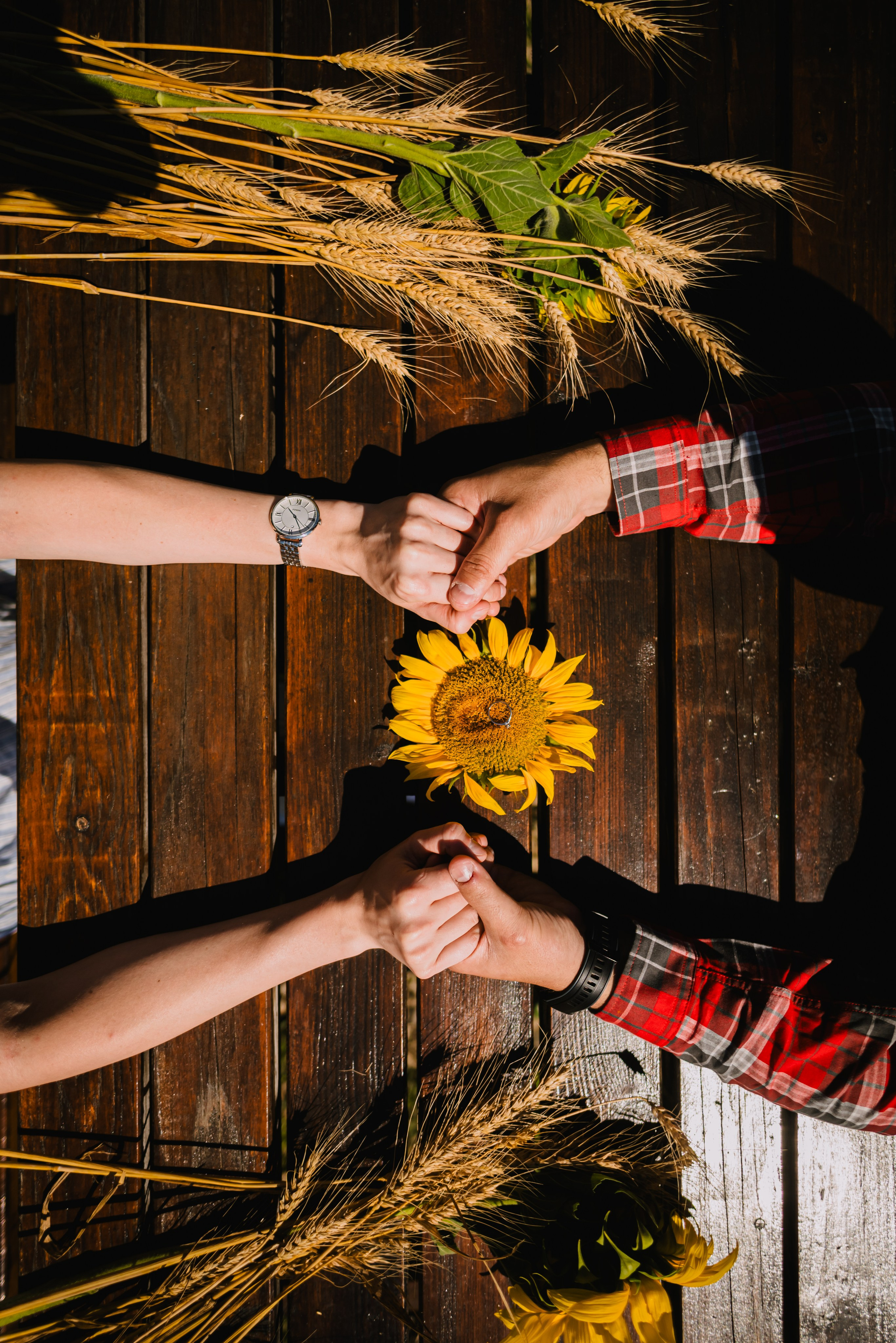 Save the date Elena & Florin. Giani Maftei