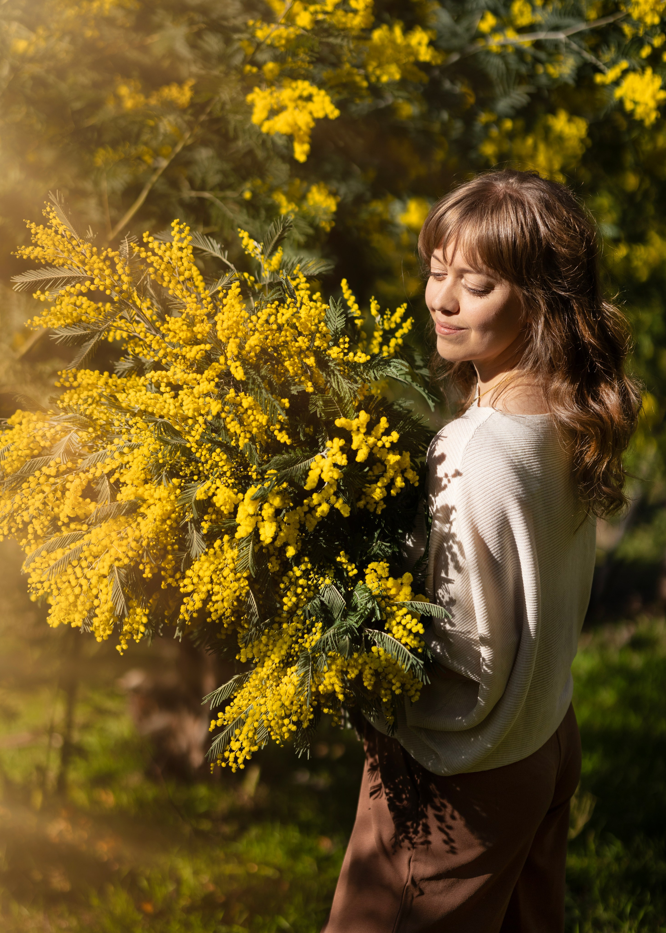 Mimosa. Photographer in Munich
