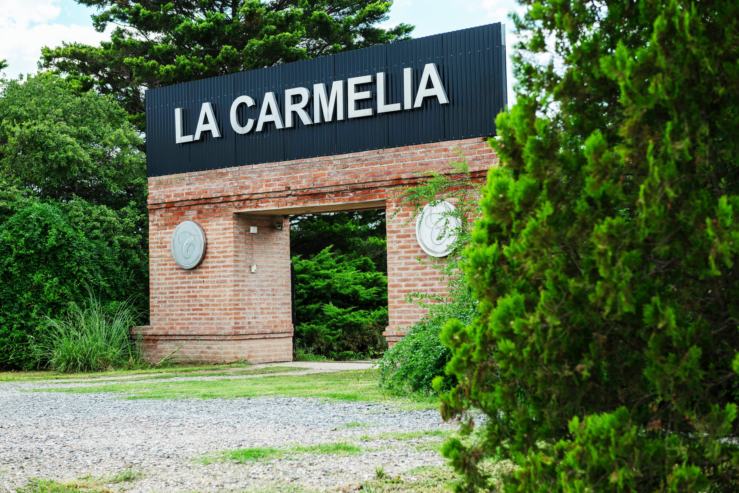 Bodas. Hernán Platini Photography