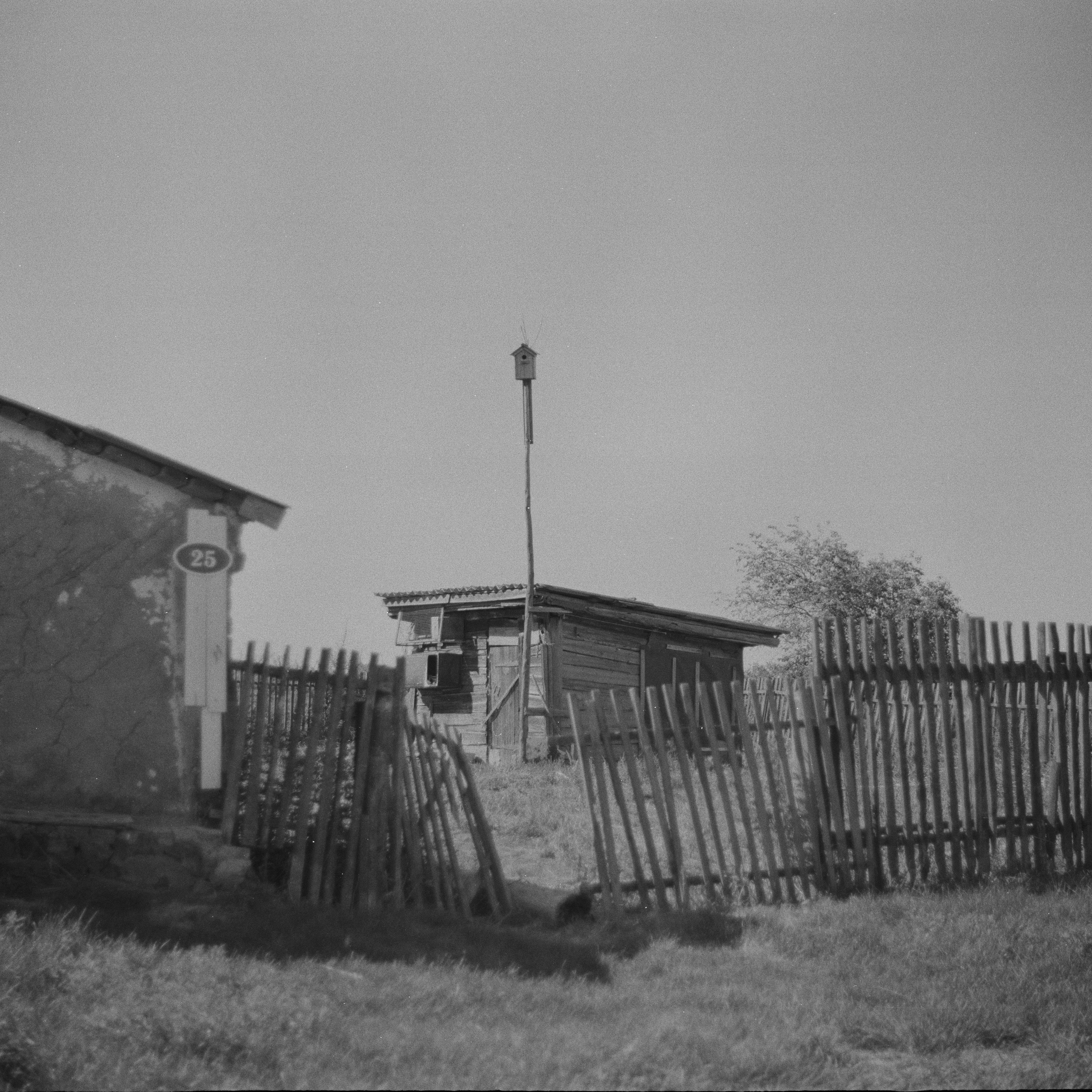 Grandmother. Ekaterina Fedorova