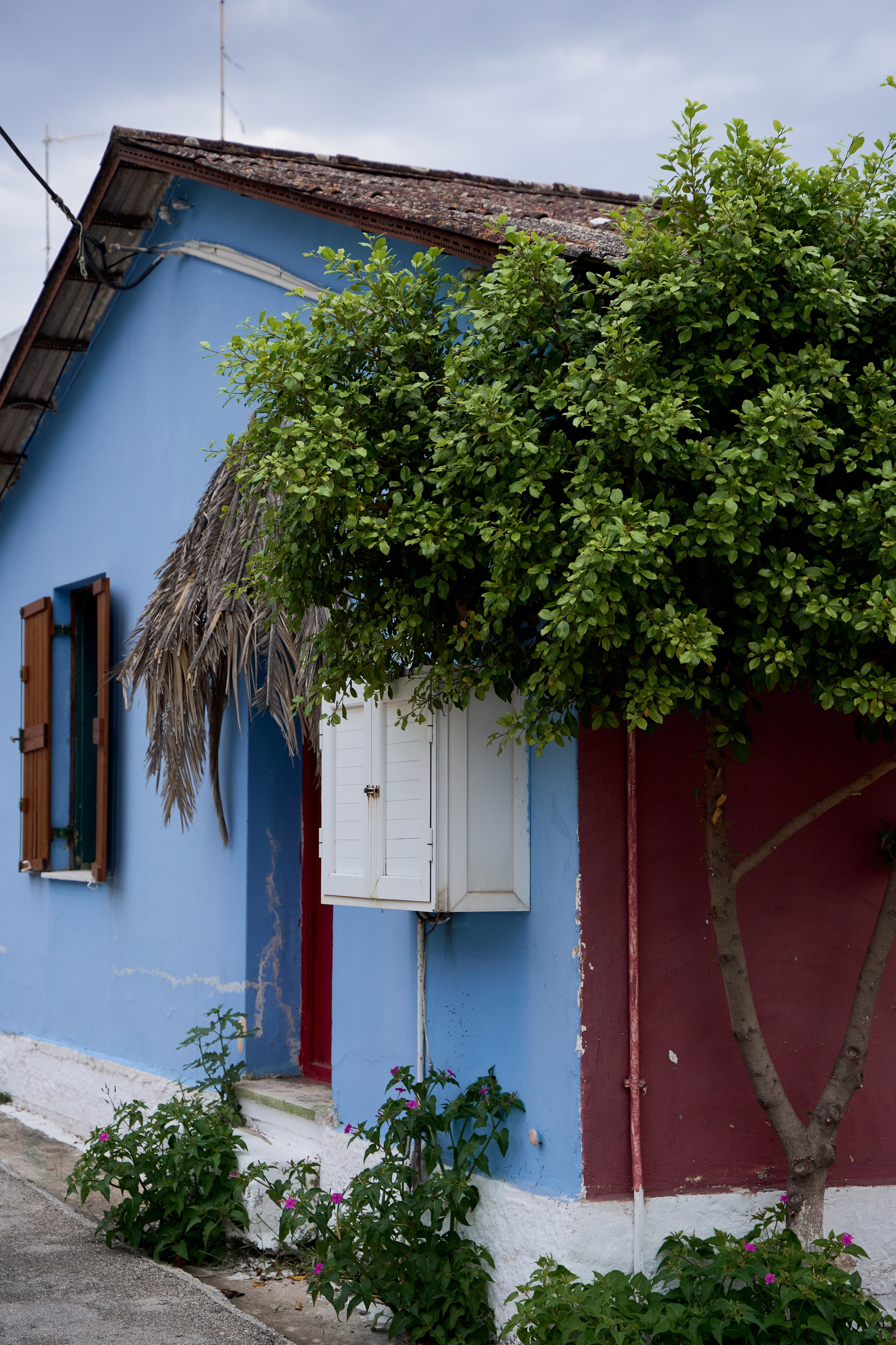 Моими глазами. Salut!