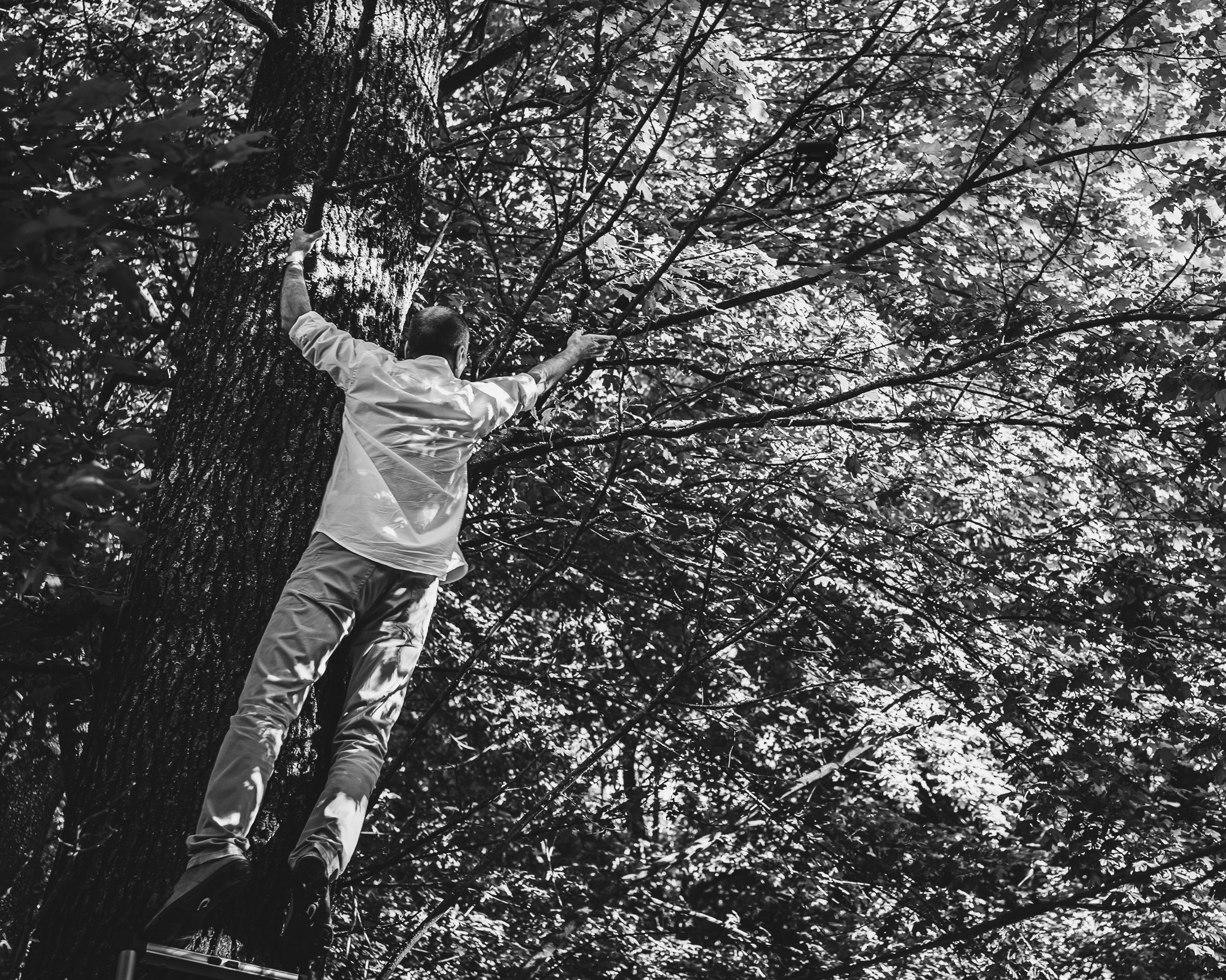 Fotograf de nuntă la TreeHouse Cosoba Mihai Popa Fotograf. Fotograf Nuntă & Botez București - Mihai Popa | Dincolo de oameni, imortalizez emoții!