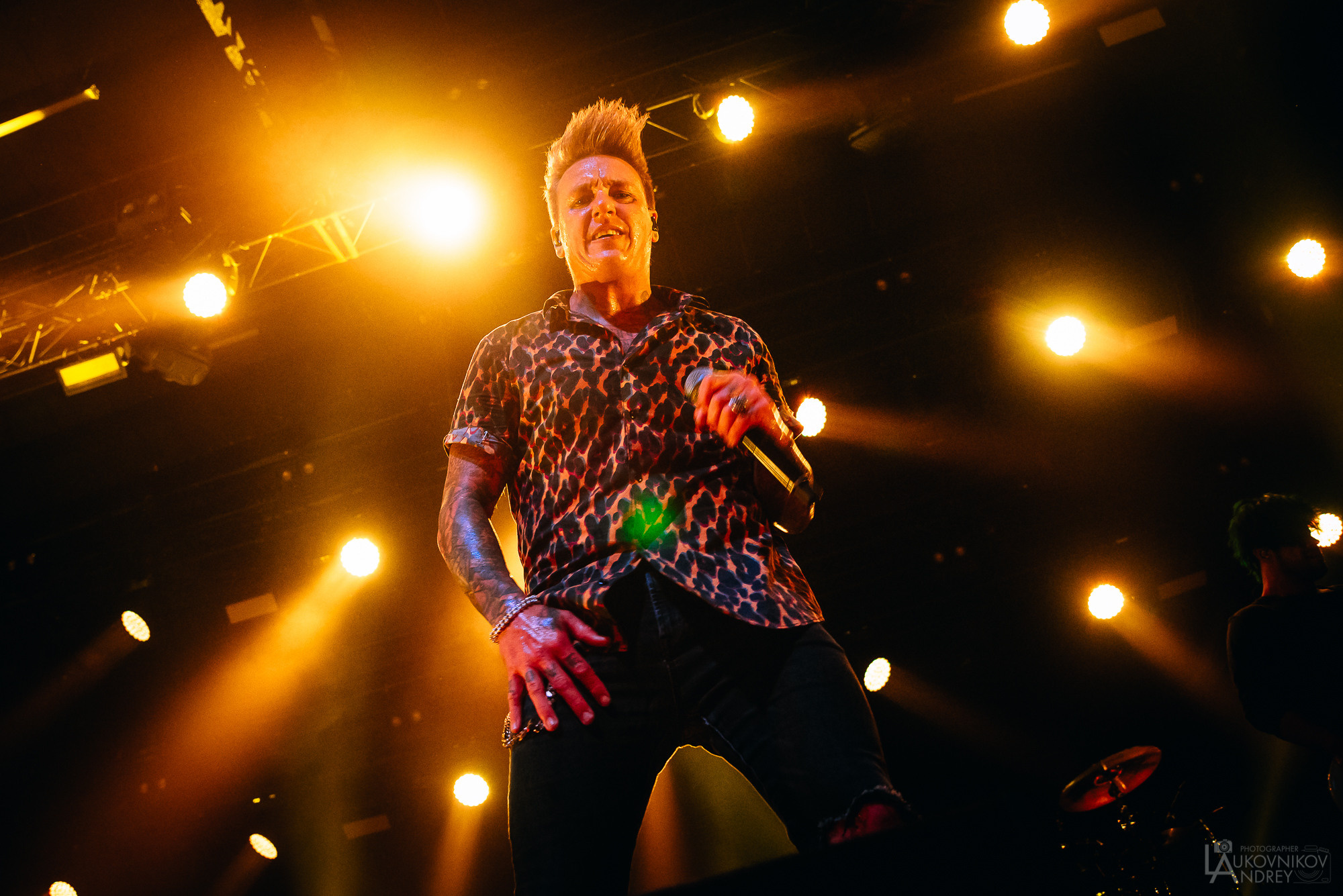 Papa Roach. Live in Saint Petersburg, Russia