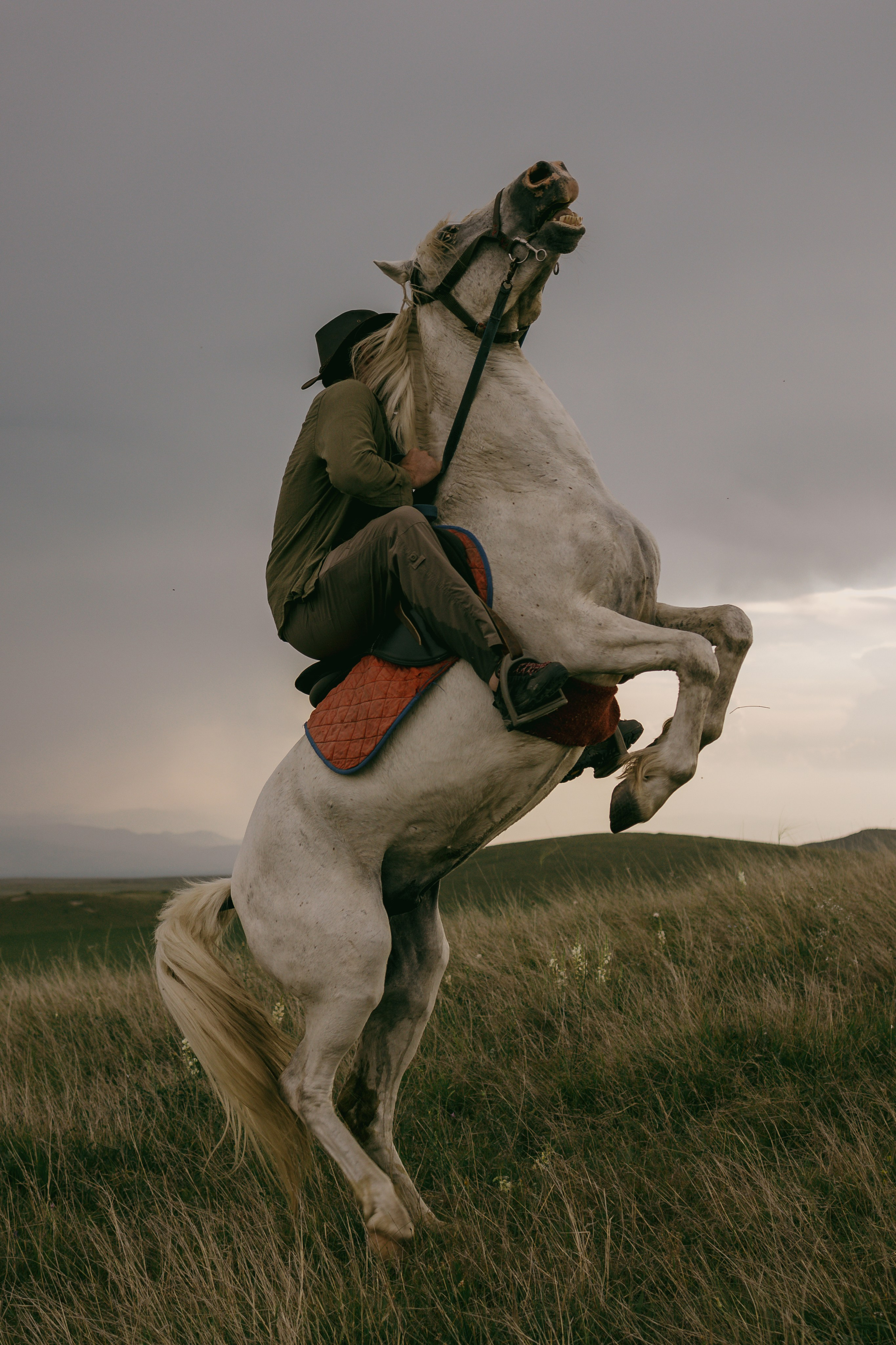 Riding Georgia. Lidia Golovina, Photographer in Tbilisi