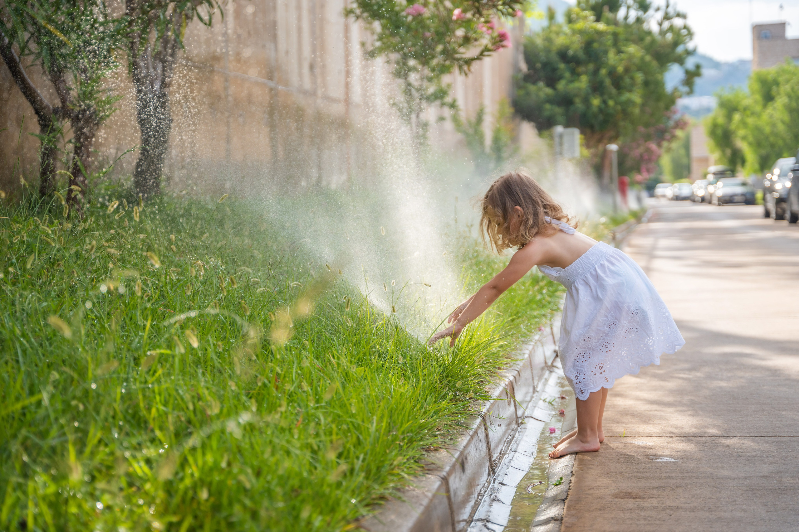 Ποιότητα Νερού. Aqua Nucifera | Φίλτρα Νερού Καρύδας & Έξυπνη Άρδευση