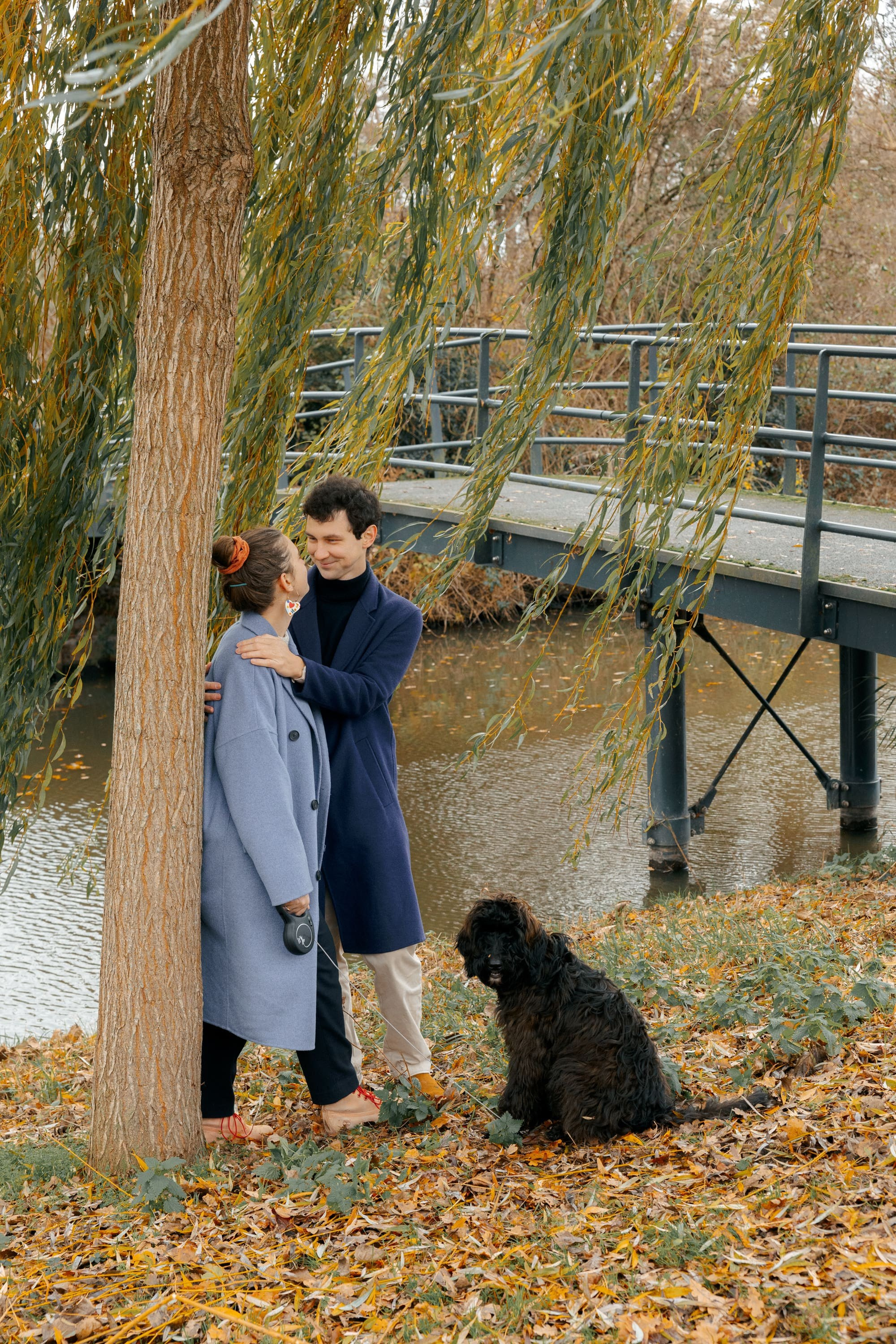 Pet Photoshoot in Spijkenisse | Rotterdam. Romantic & Soulful Photography by Natalia Olhova in Rotterdam