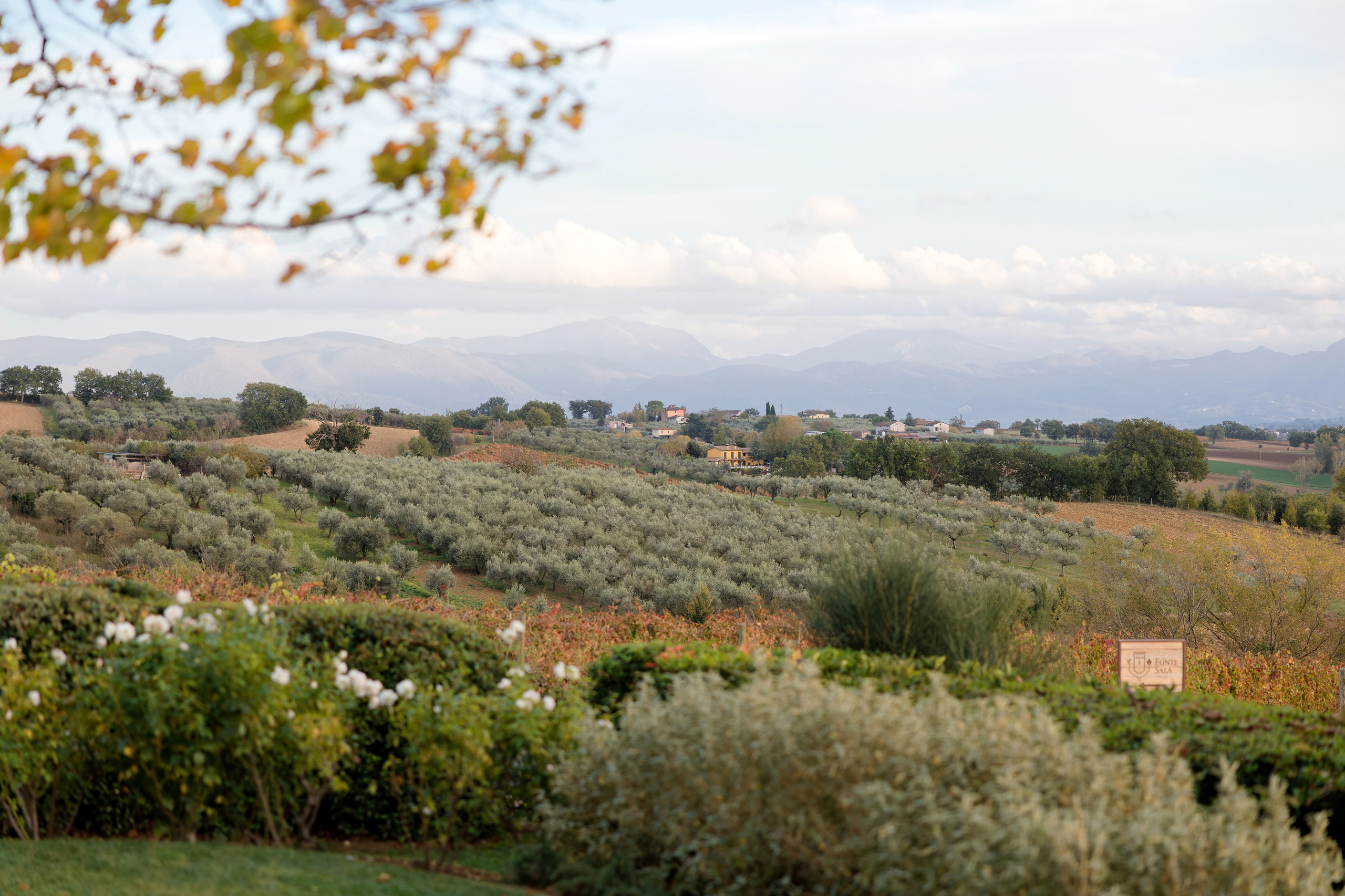 Wedding at Fonte Sala, Umbria